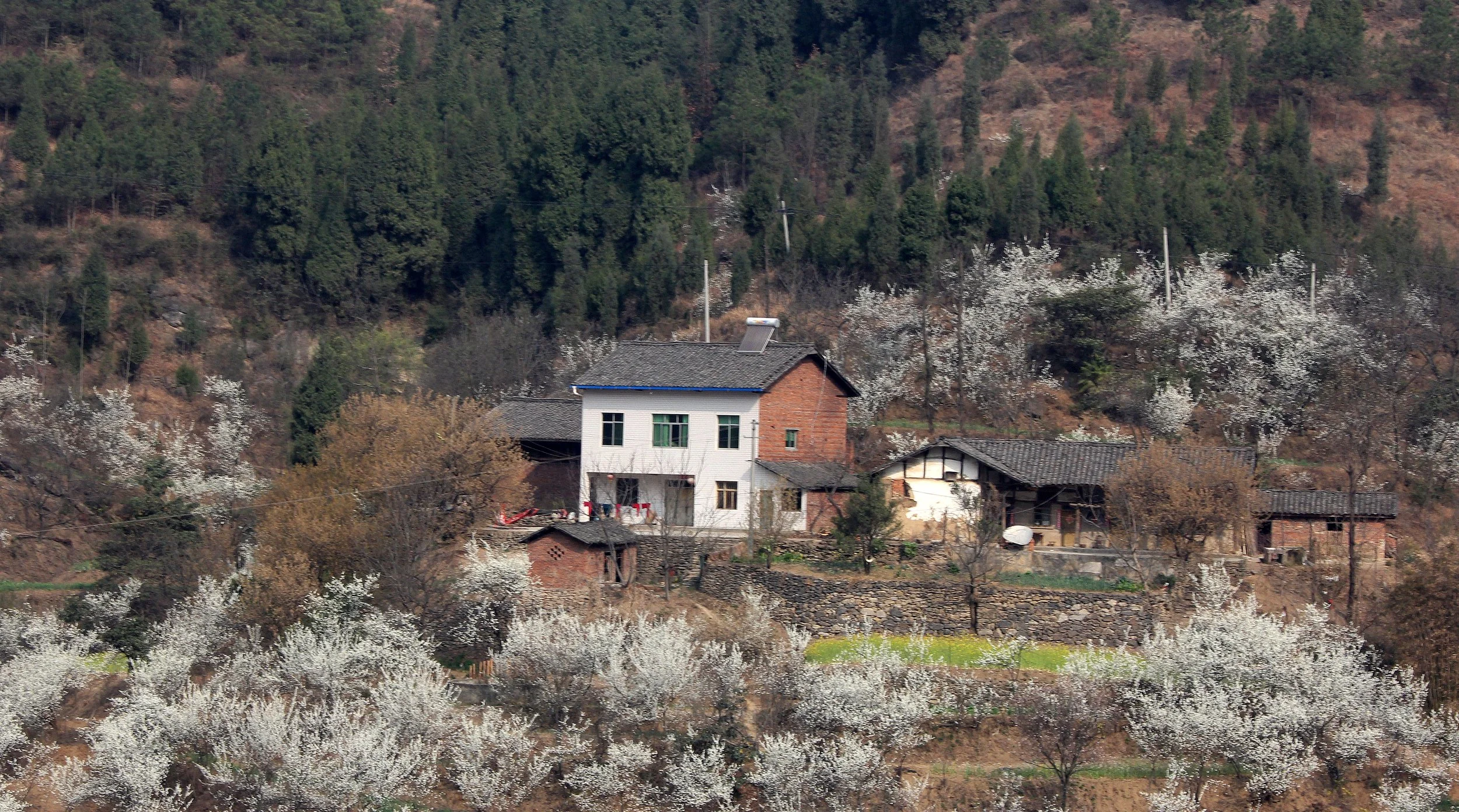 QINGCHUAN AND SURROUNDING AREA - SICHUAN CHINA (2).JPG