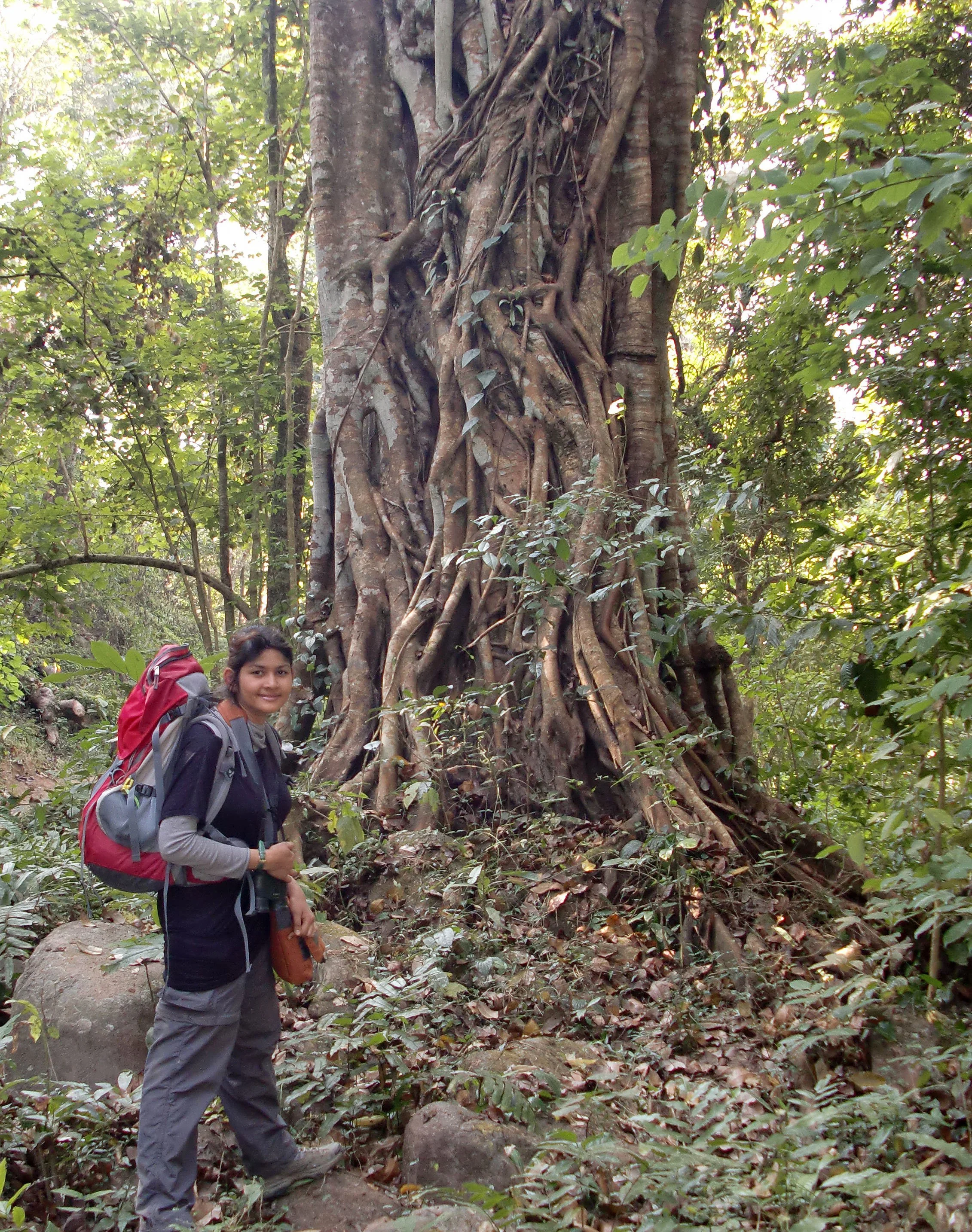 ASSAM - KAZIRANGA NATIONAL PARK INDIA (22).JPG