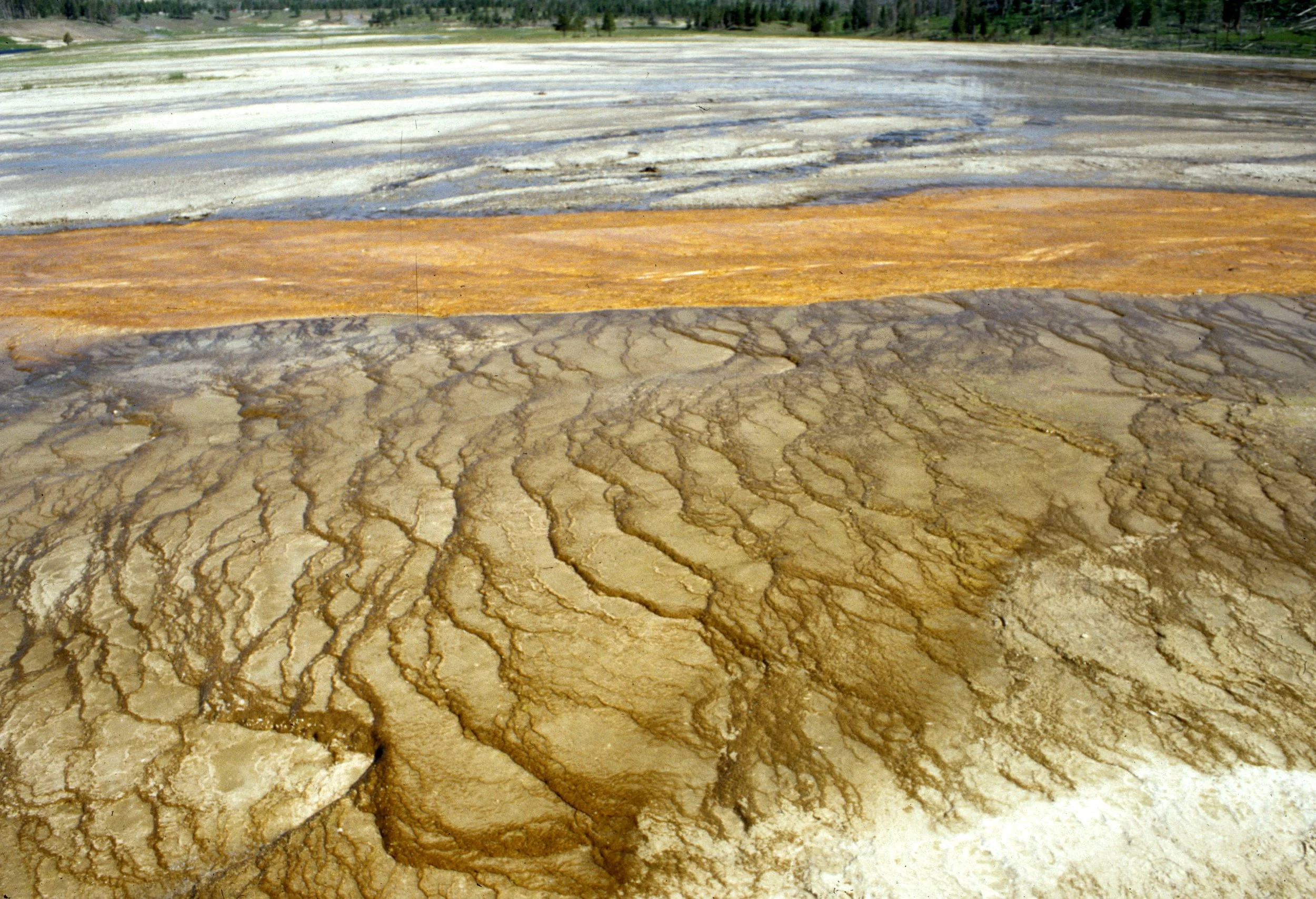 YELLOWSTONE - GRAND PRISMATIC H.jpg