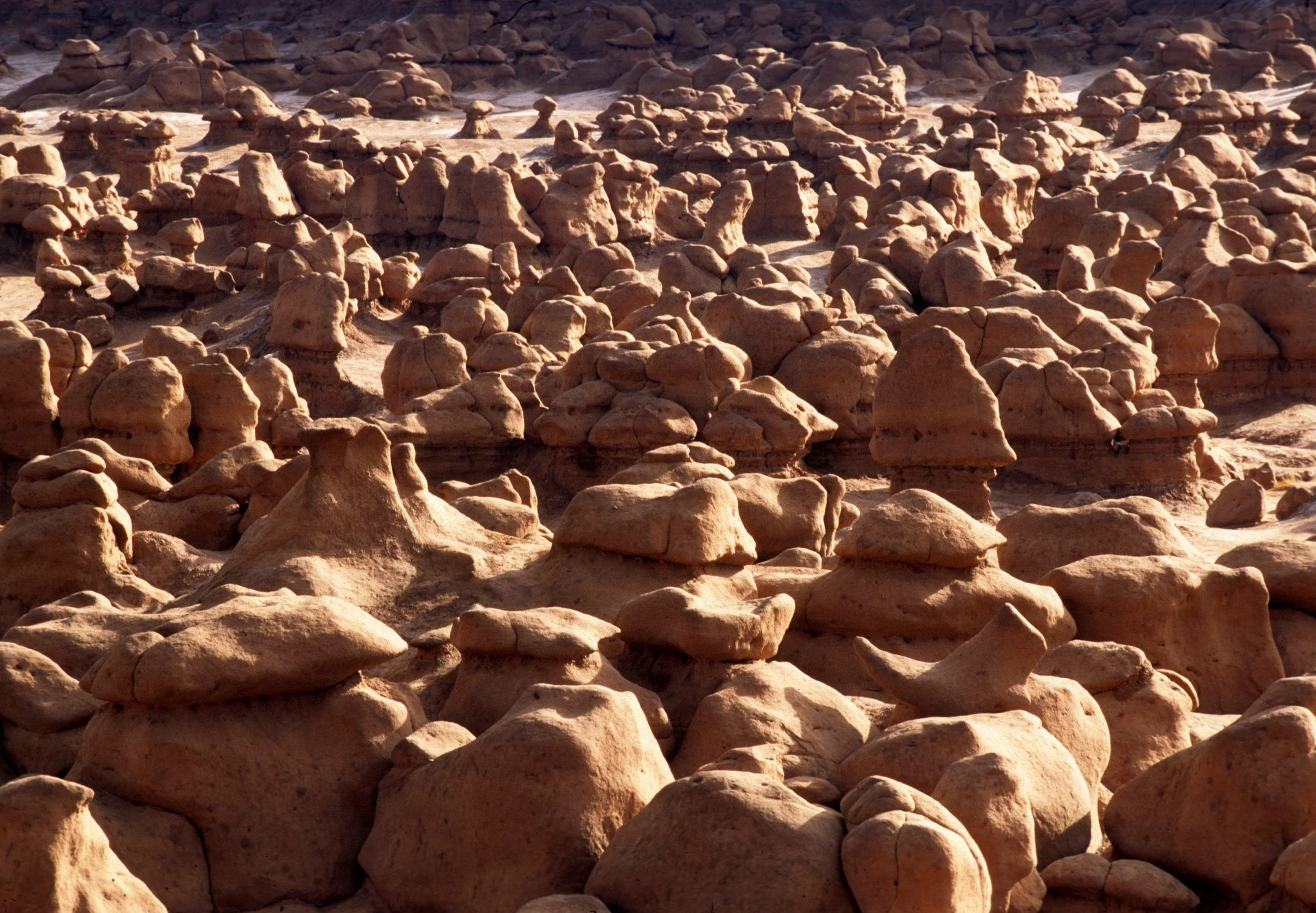 UTAH - GOBLINS SP.jpg