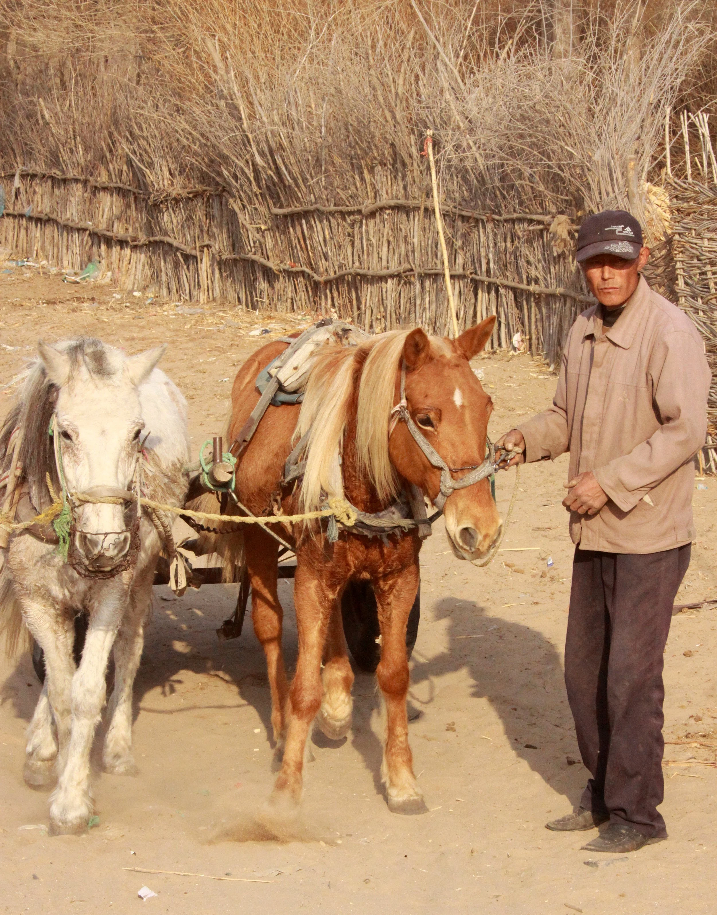 KULUN QI & SURROUNDING VILLAGES - INNER MONGOLIA CHINA (86).JPG
