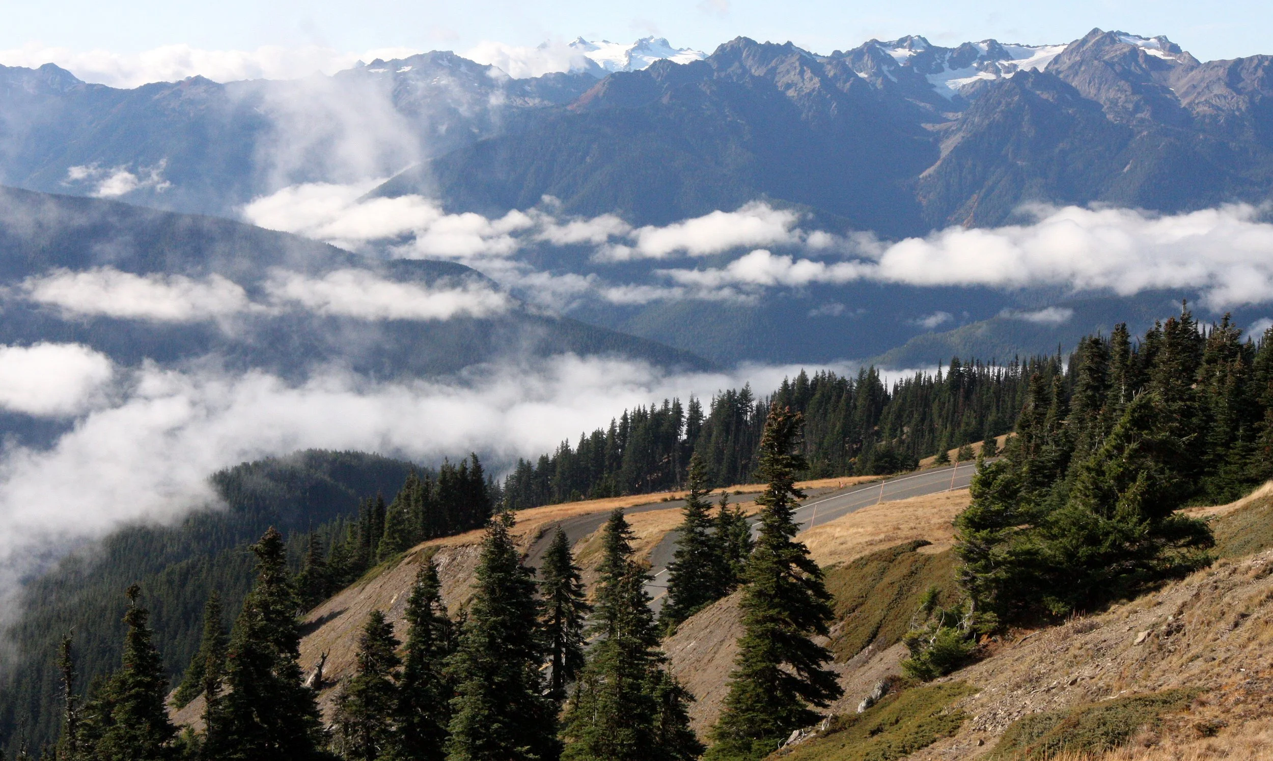 HURRICANE RIDGE WA.JPG