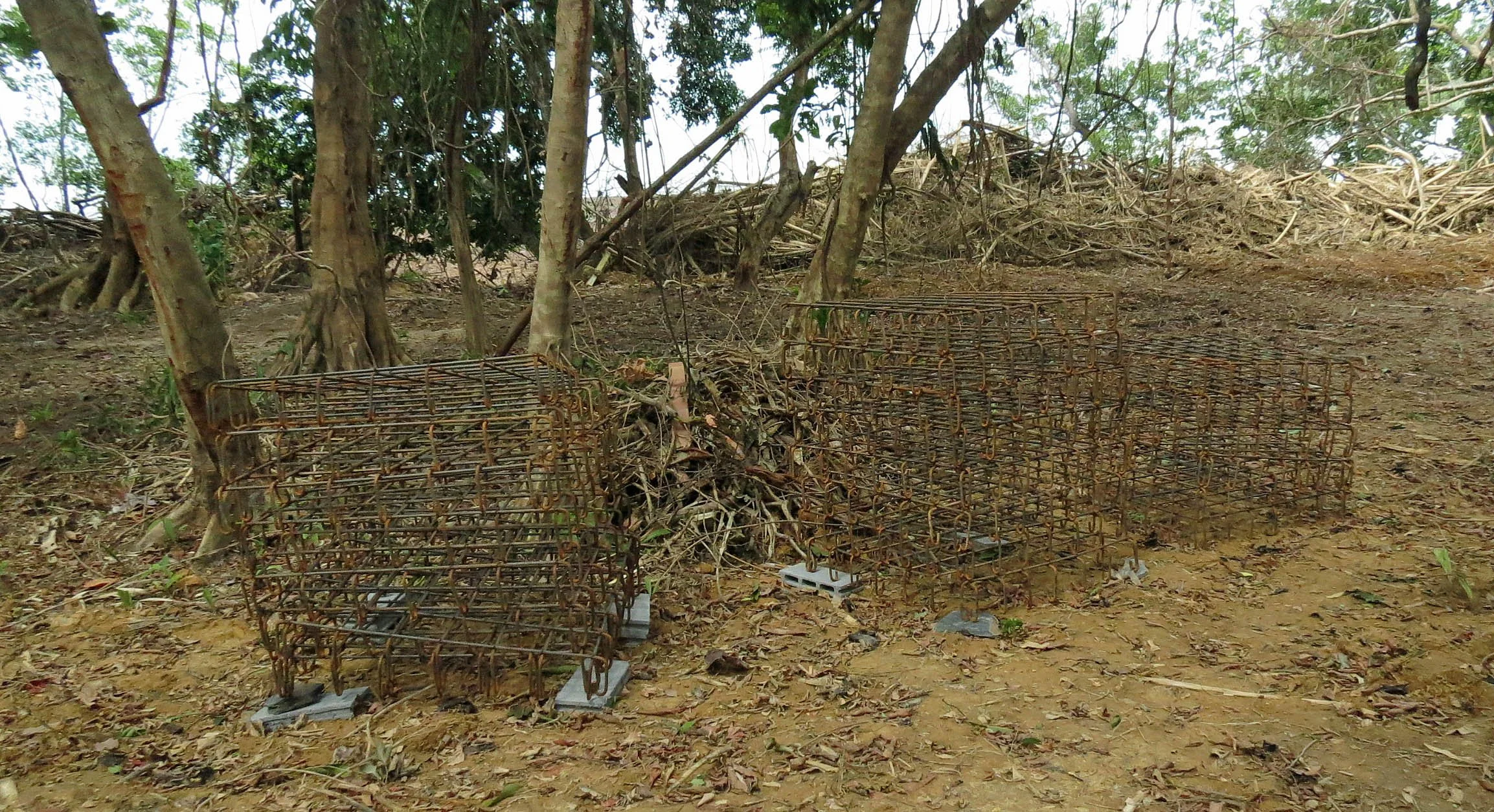 2014 Koh Lanta Build (120).JPG