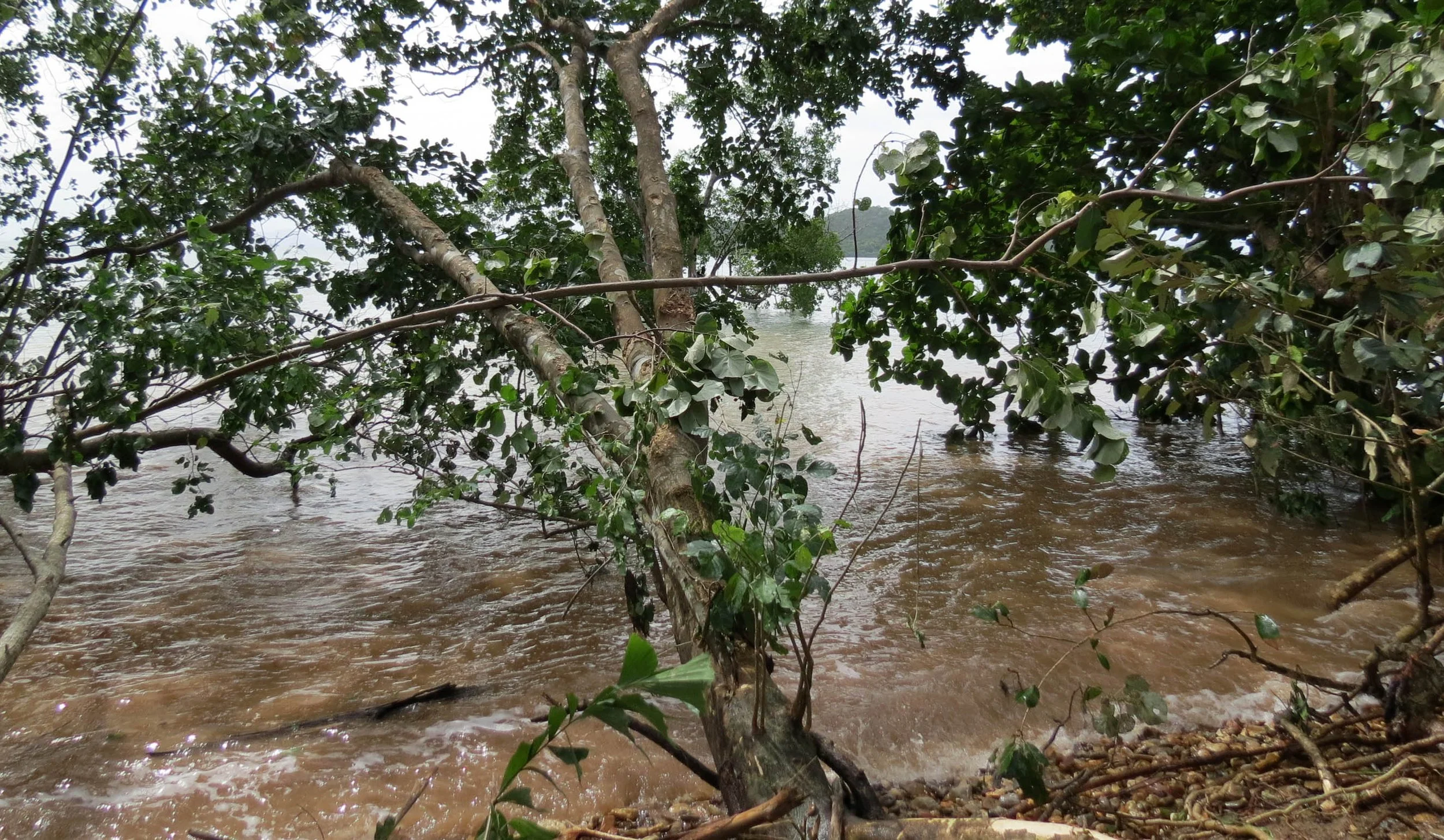 2014 Koh Lanta Build (23).JPG