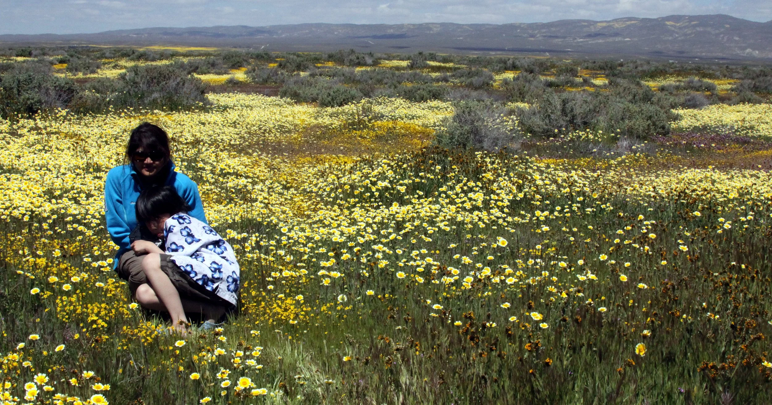 2010-4-6 CARRIZO PLAIN NATIONAL MONUMENT (3).JPG