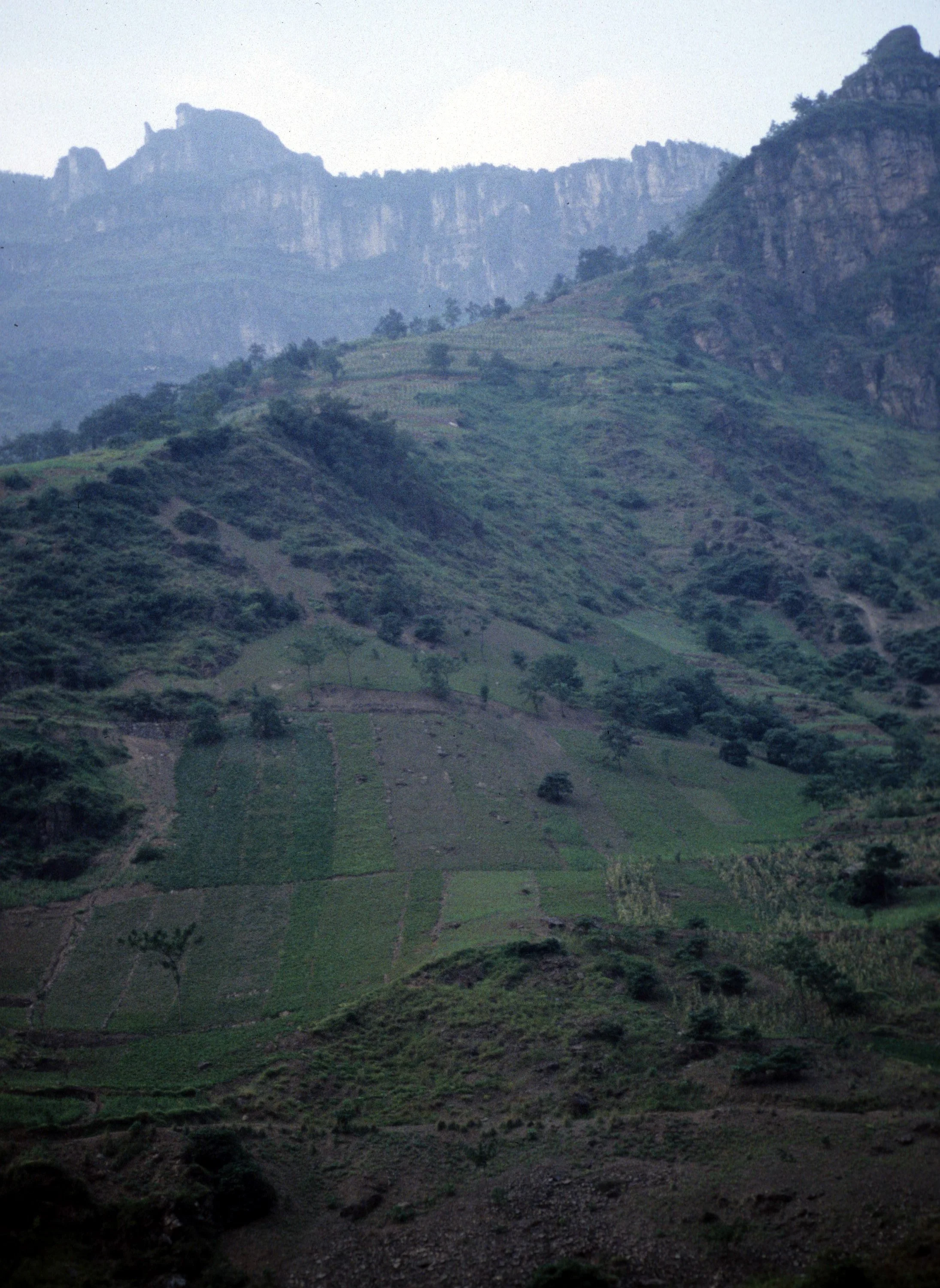 YANGTZE - LITTLE GORGE TRIBUTARY (17).jpg