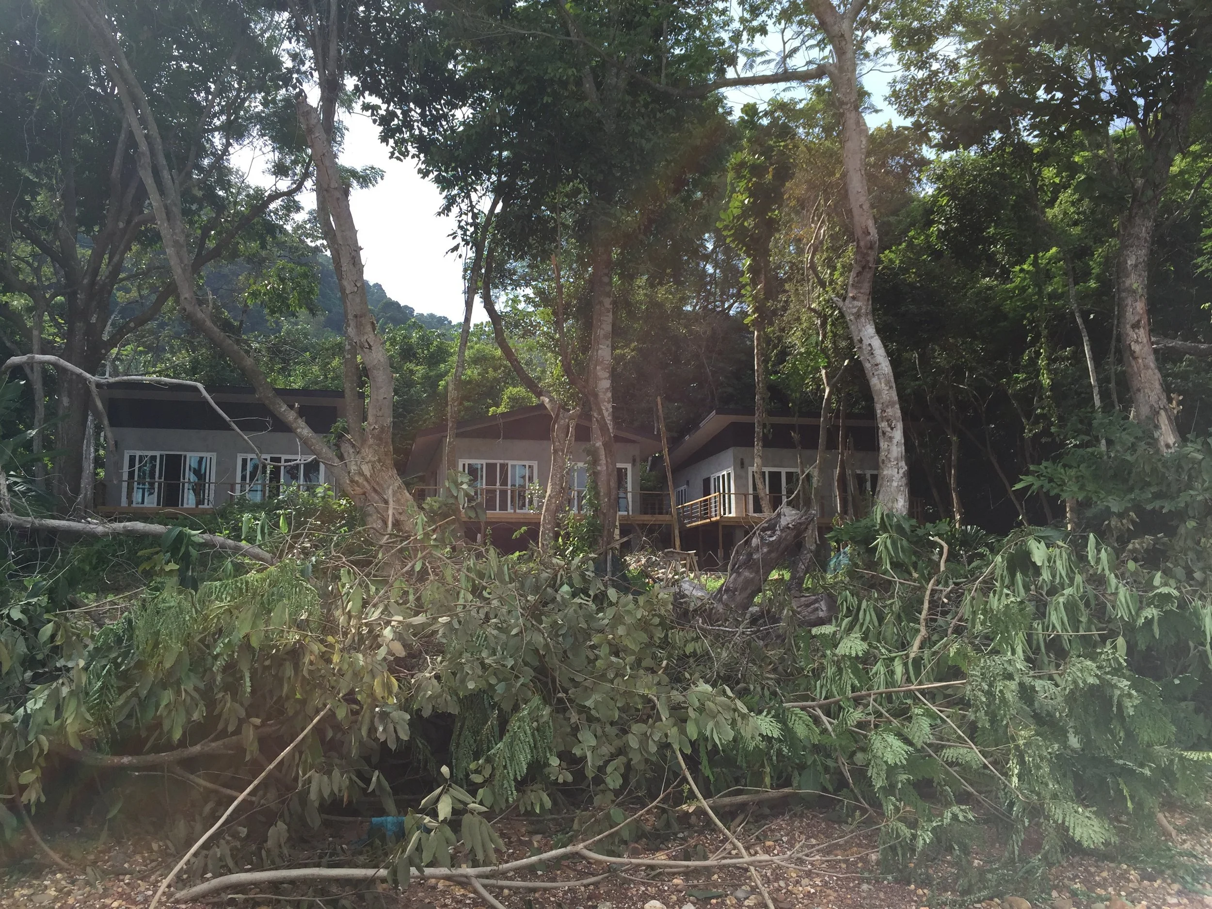 2015 Koh Lanta Garden & Nature (284).jpg