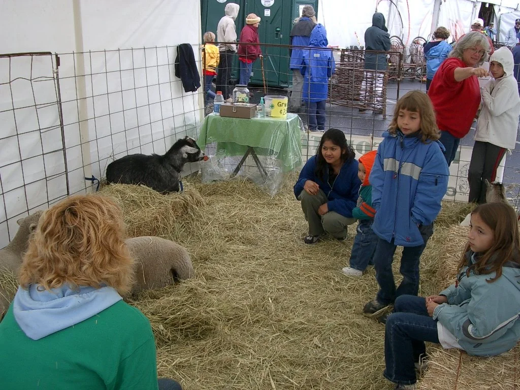 2003-10-12 CRAB FEST CRITTERS (2).JPG