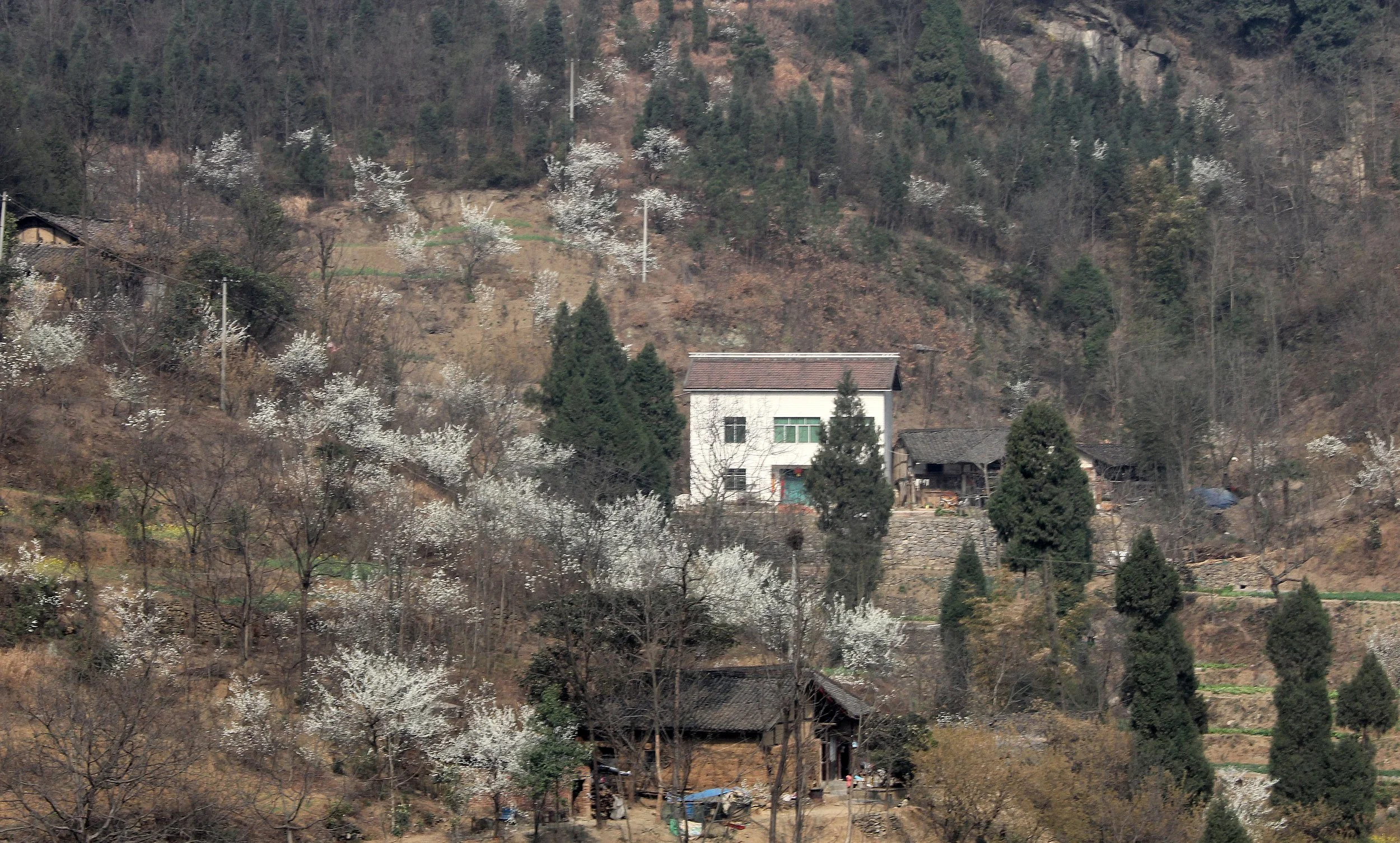 QINGCHUAN AND SURROUNDING AREA - SICHUAN CHINA (1).JPG