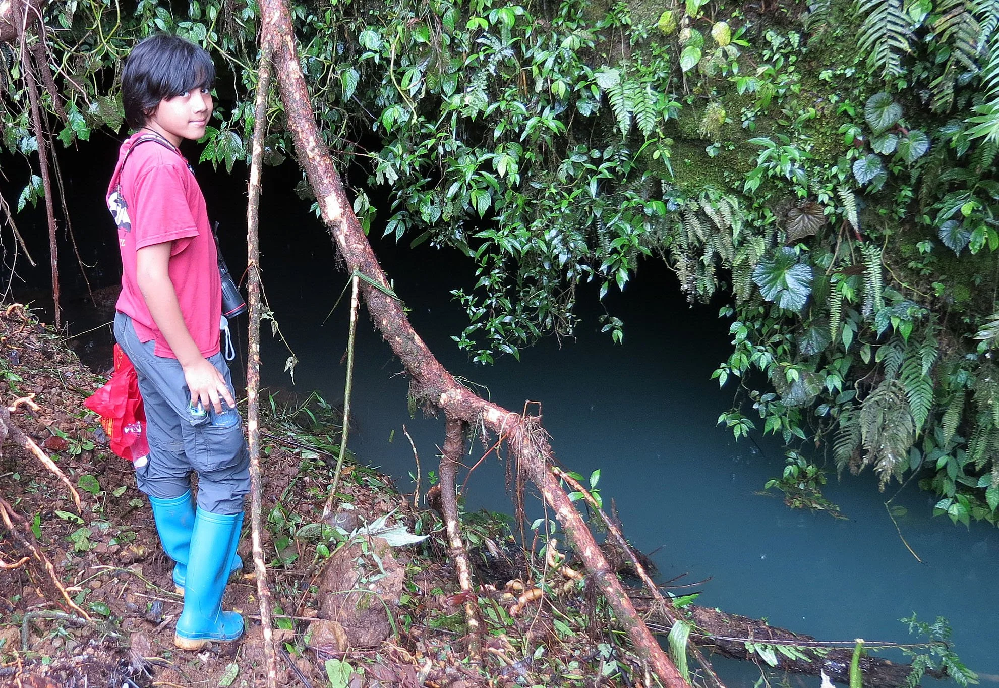GEDE NATIONAL PARK - JAVA BARAT INDONESIA (25).JPG