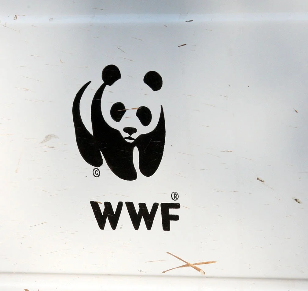 MADHYA PRADESH - KANHA NATIONAL PARK MADHYA PRADESH INDIA (44).JPG