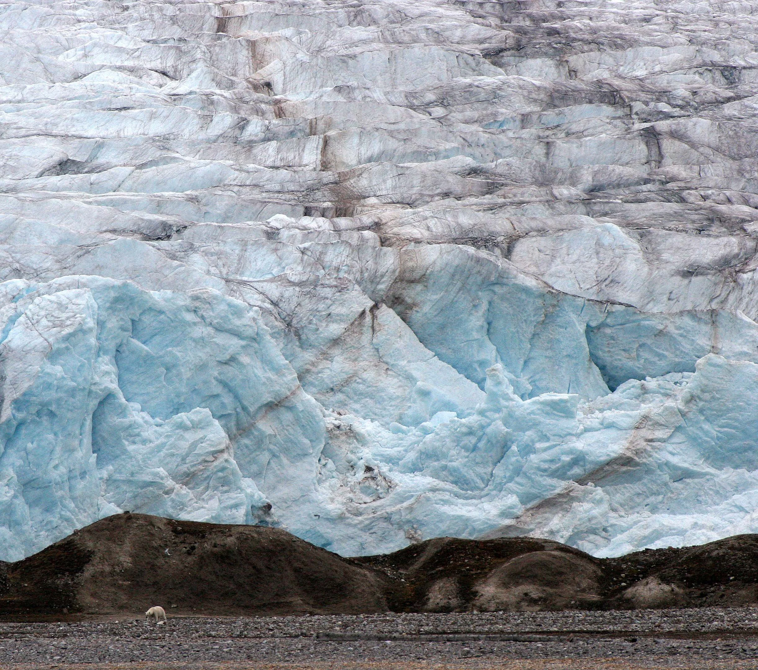 Don't miss the massive Polar Bear next to the MEGA MASSIVE glacier!