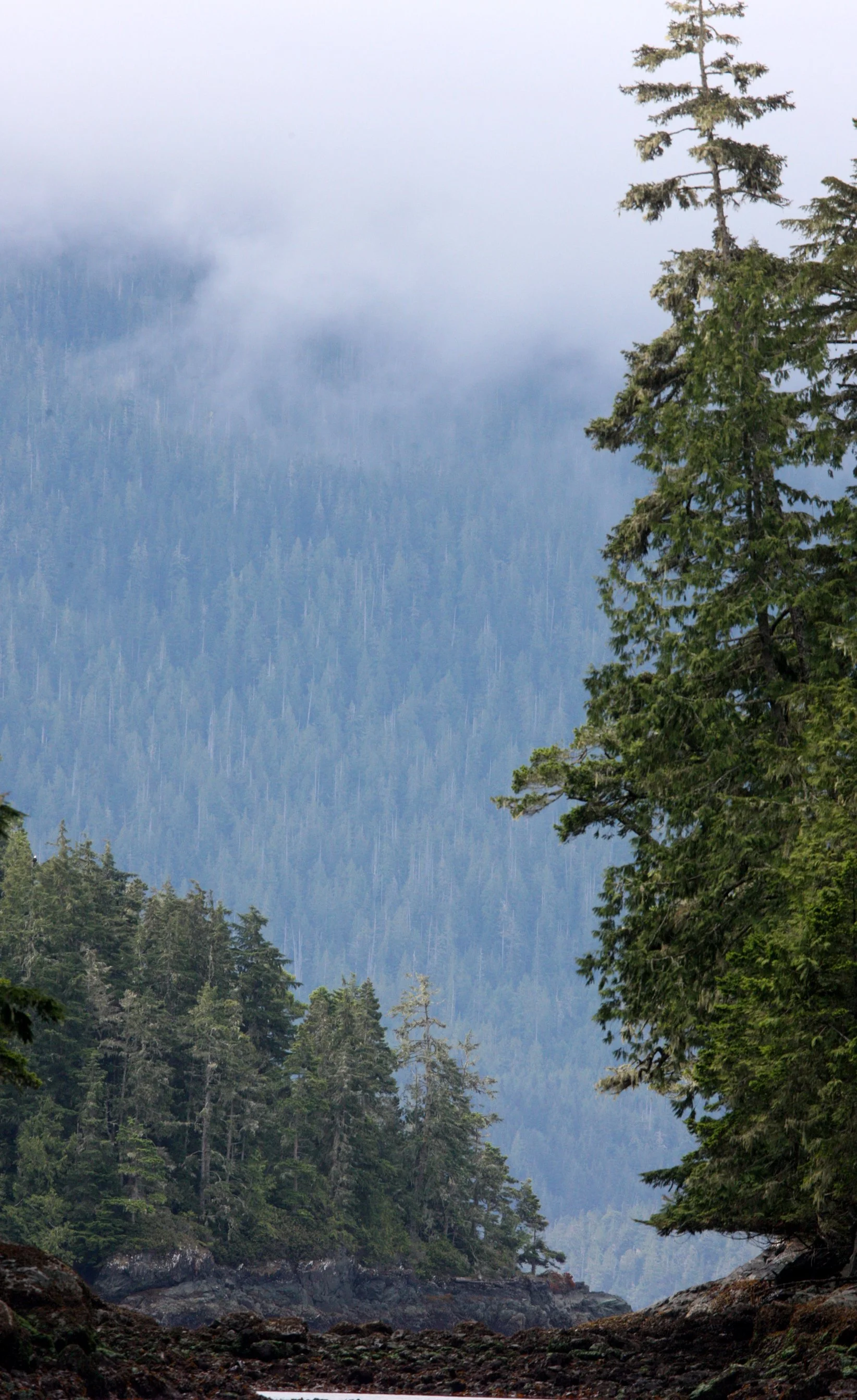 KNIGHT'S INLET BRITISH COLUMBIA (12).JPG