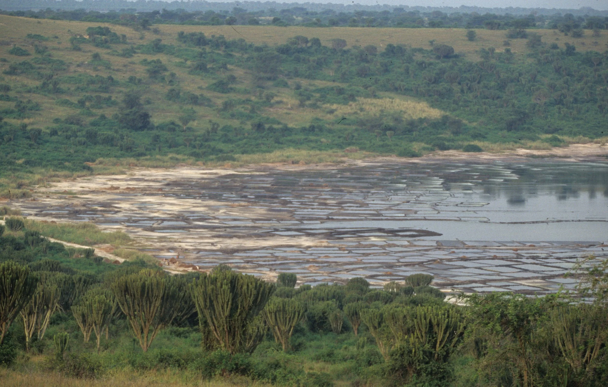 UGANDA - SALT DRYING OPERATION.jpg
