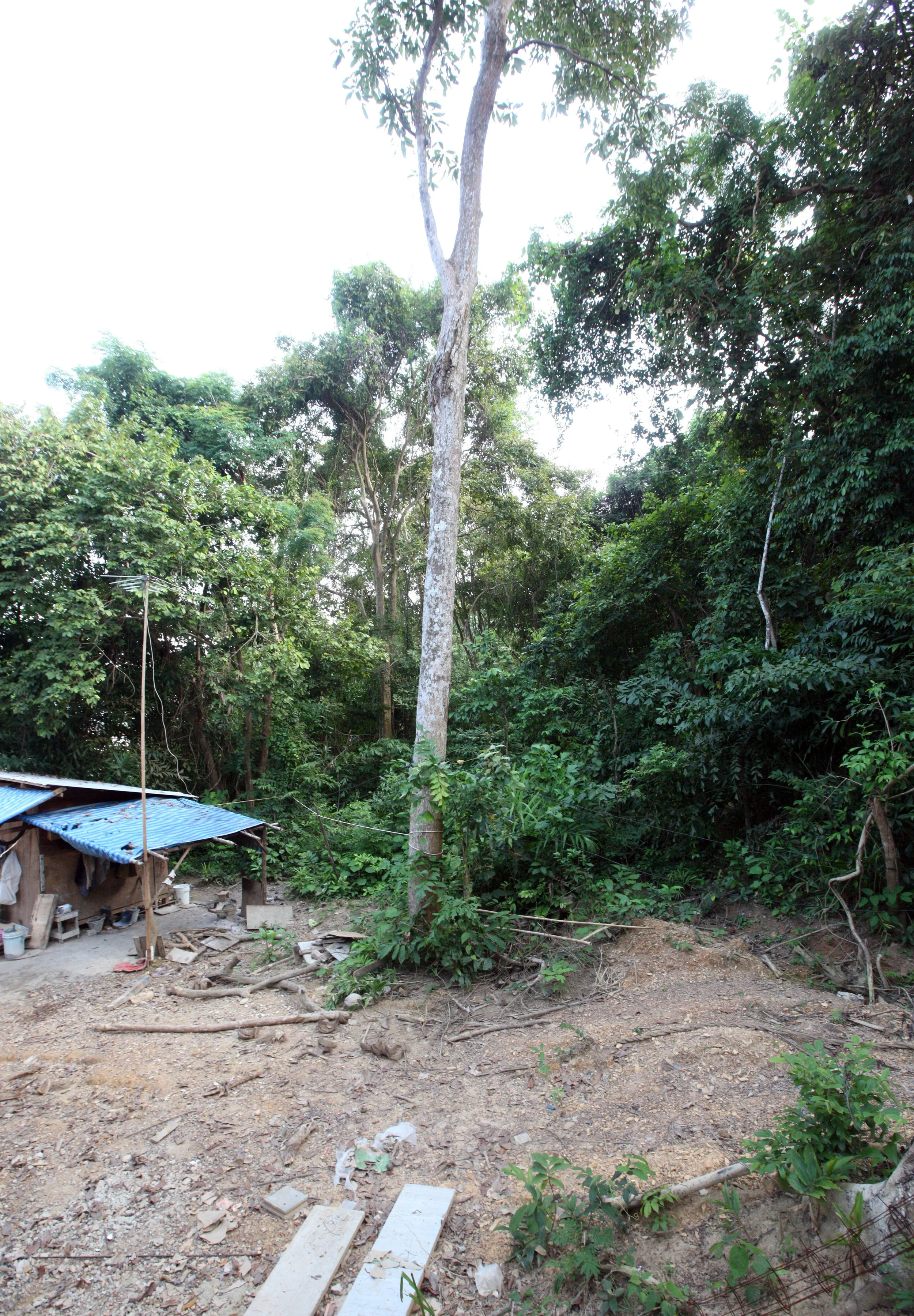 2015 Koh Lanta Build and Fun (54).JPG