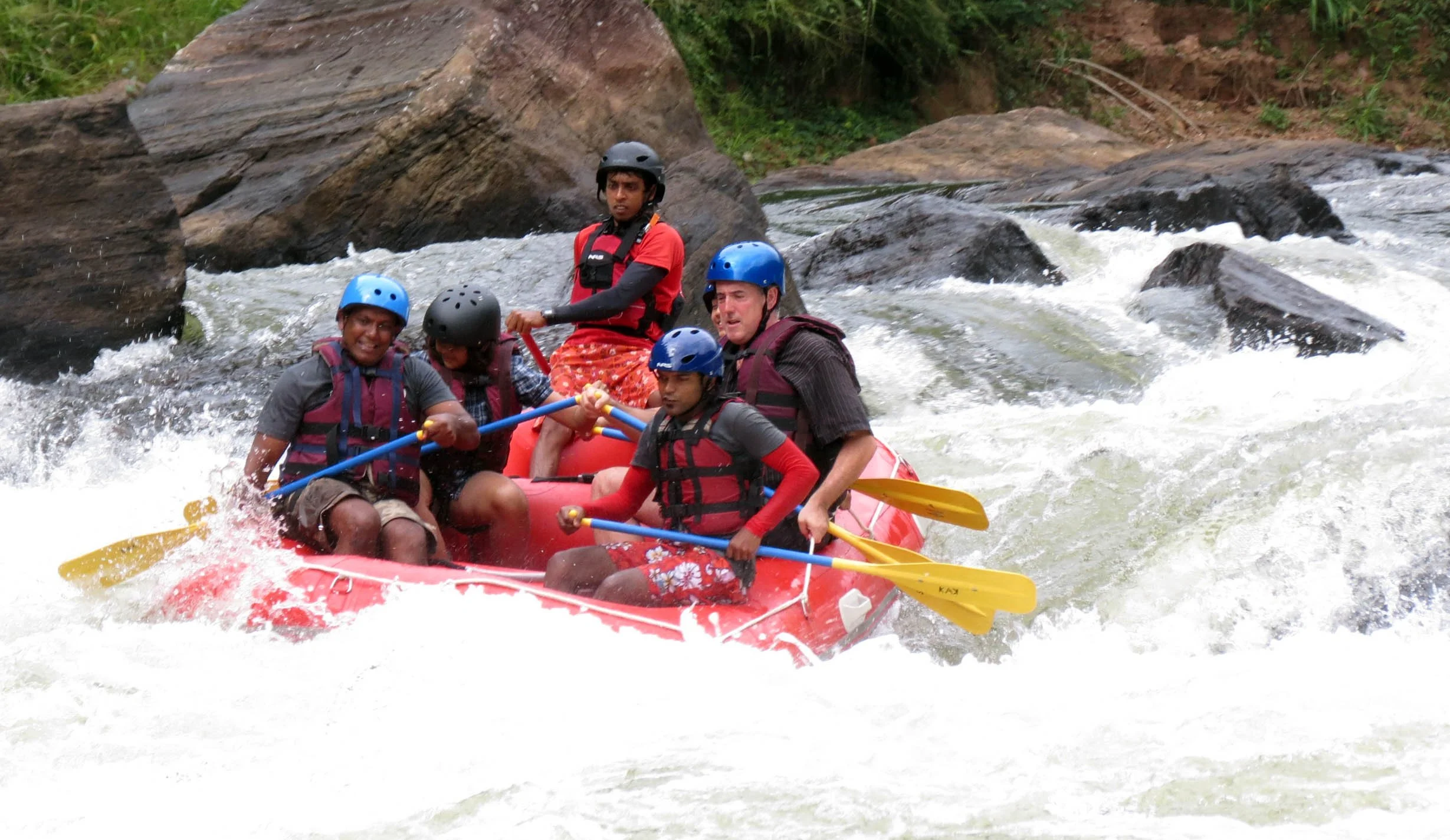 KITULGALA FOREST PRESERVE SRI LANKA (46).JPG