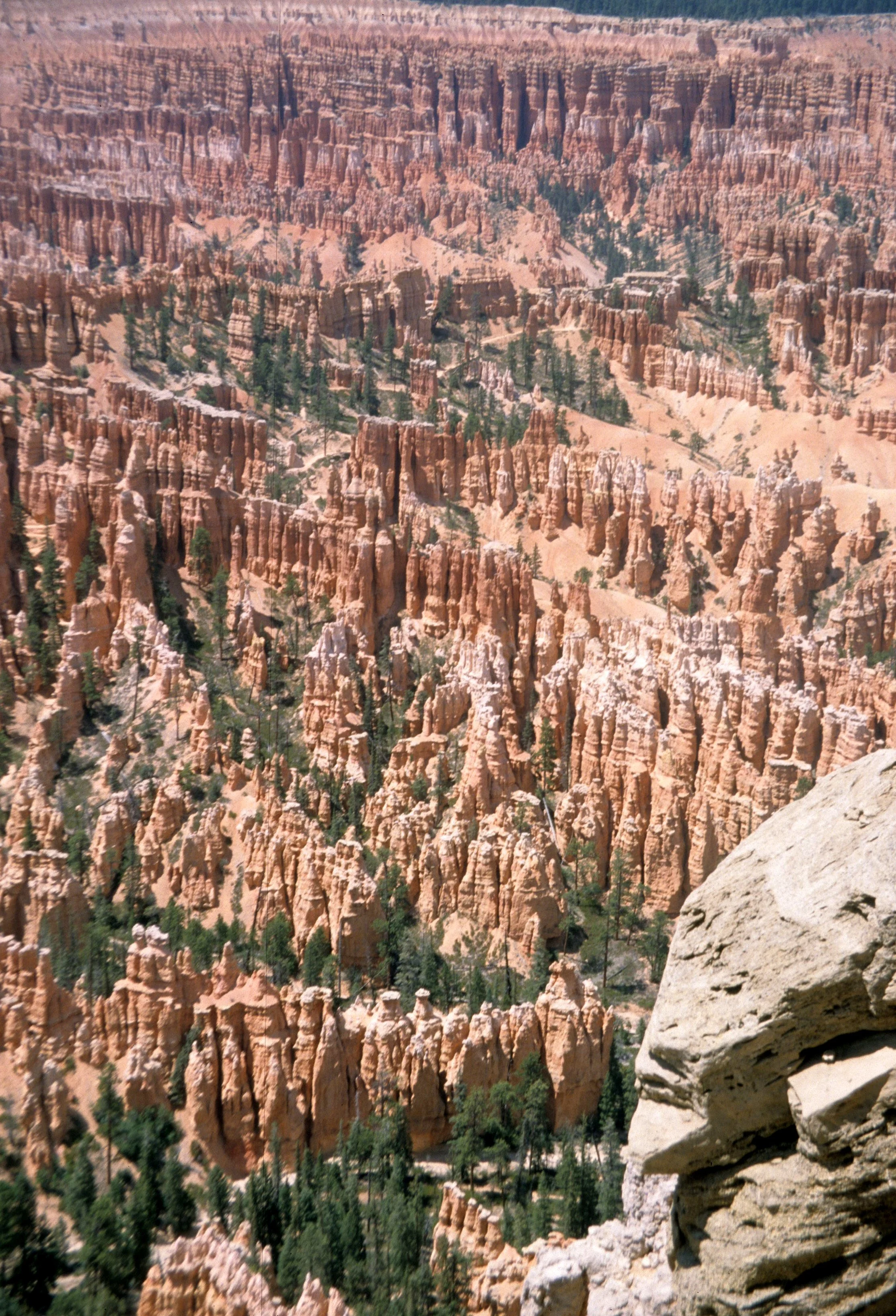 UTAH - BRYCE CANYON V.jpg