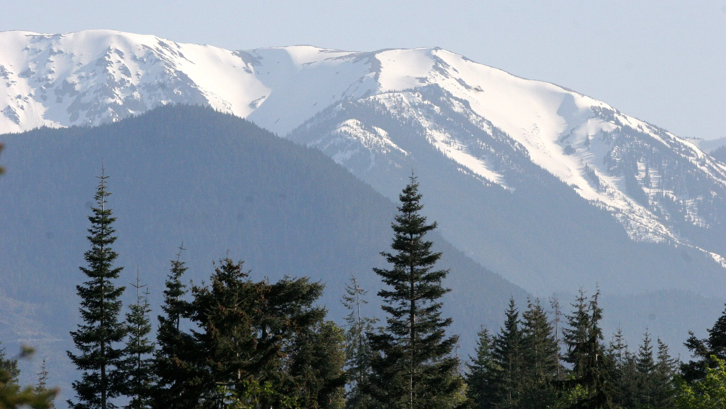 KLAHANE RIDGE FROM LAKE FARM .JPG