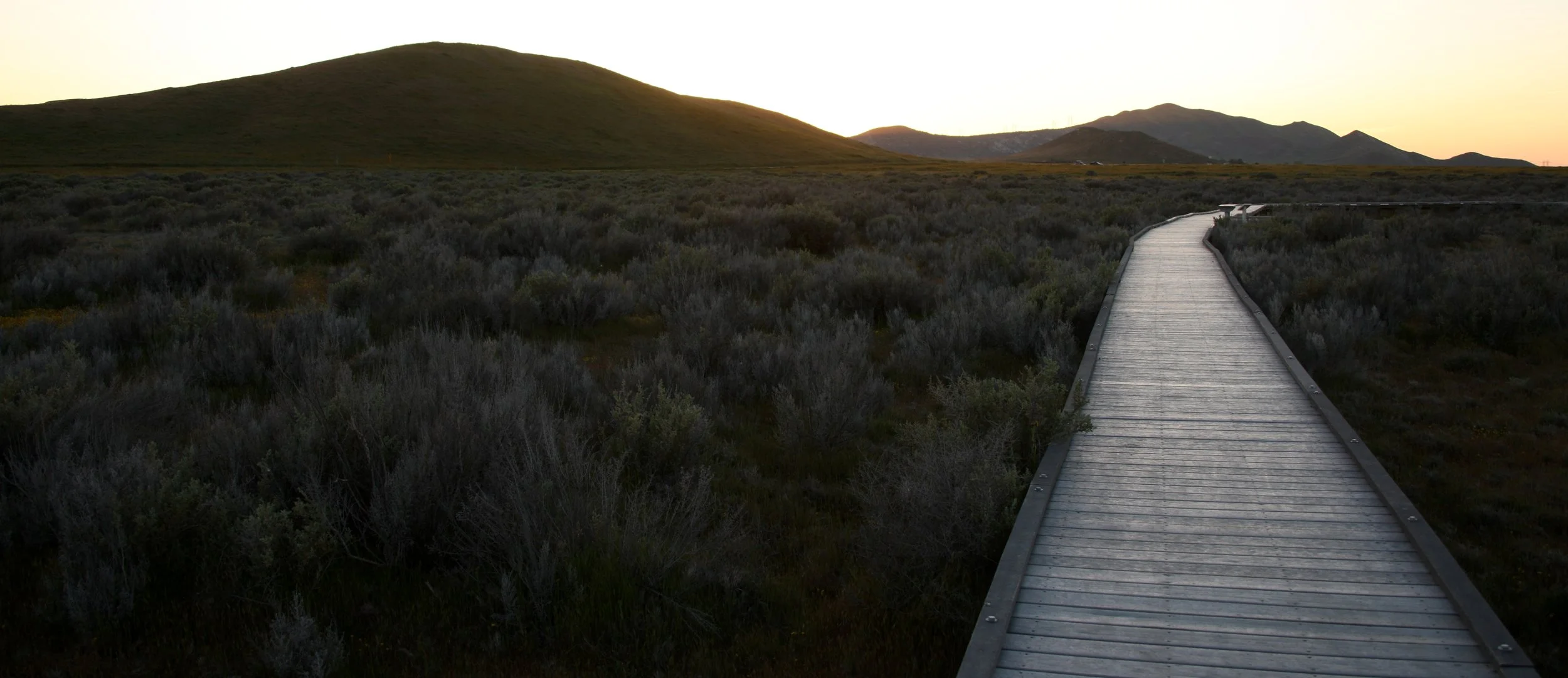 CARRIZO PLAIN NATIONAL MONUMENT - VIEWS OF THE REGION - ROADTRIP 2010 (79).JPG