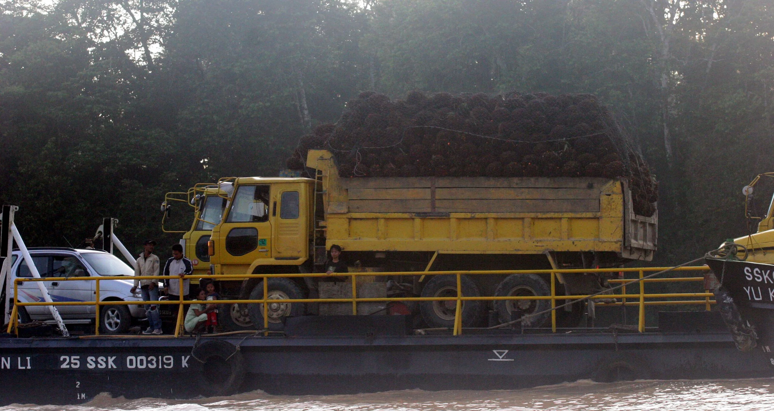 KINABATANGAN RIVER BORNEO - OIL PALM FRUIT RIVER TRANSPORT.JPG