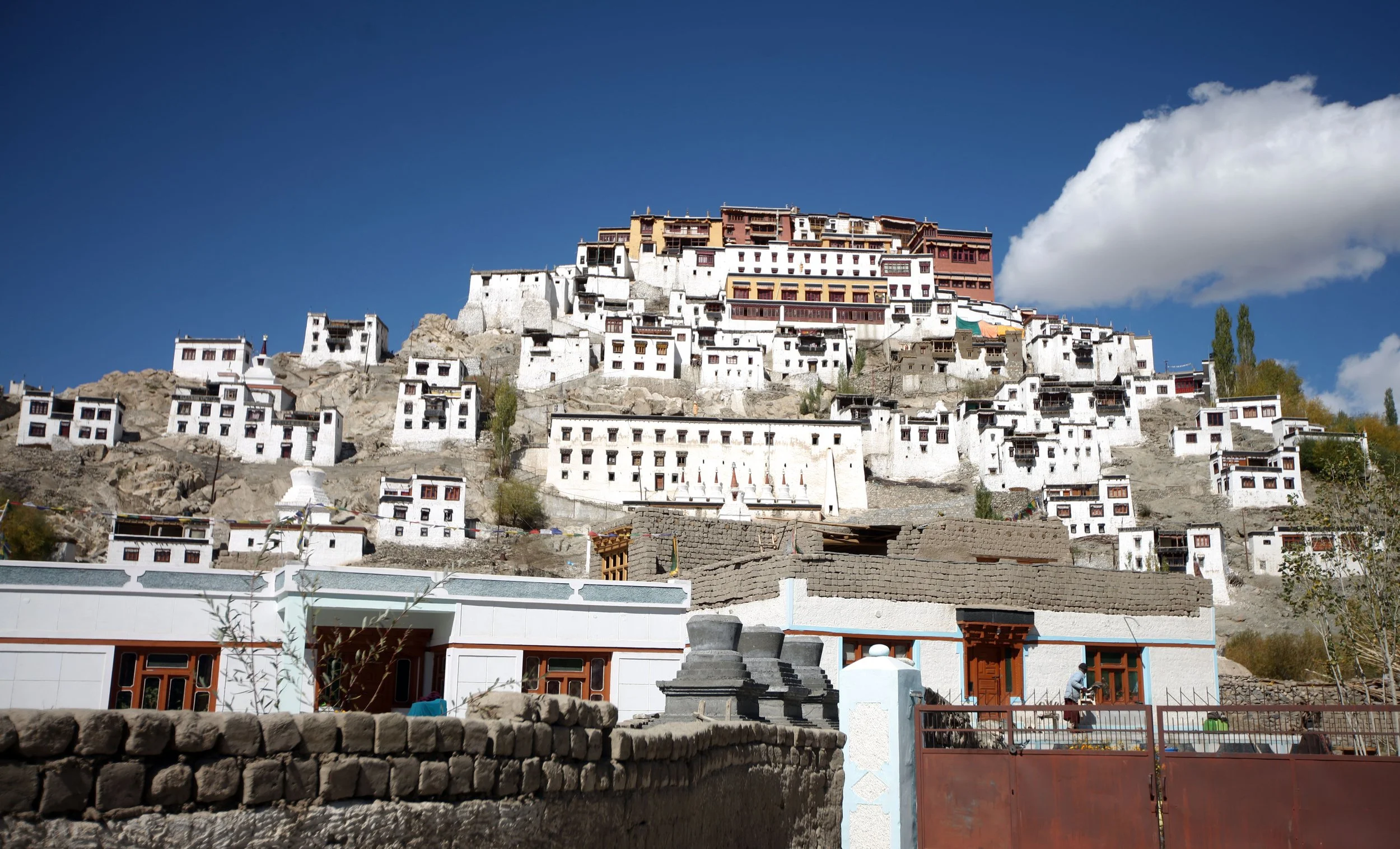 LEH - THIKSEY MONASTERY - LADAKH INDIA - SNOW LEOPARD TRIP 2013 (7).JPG