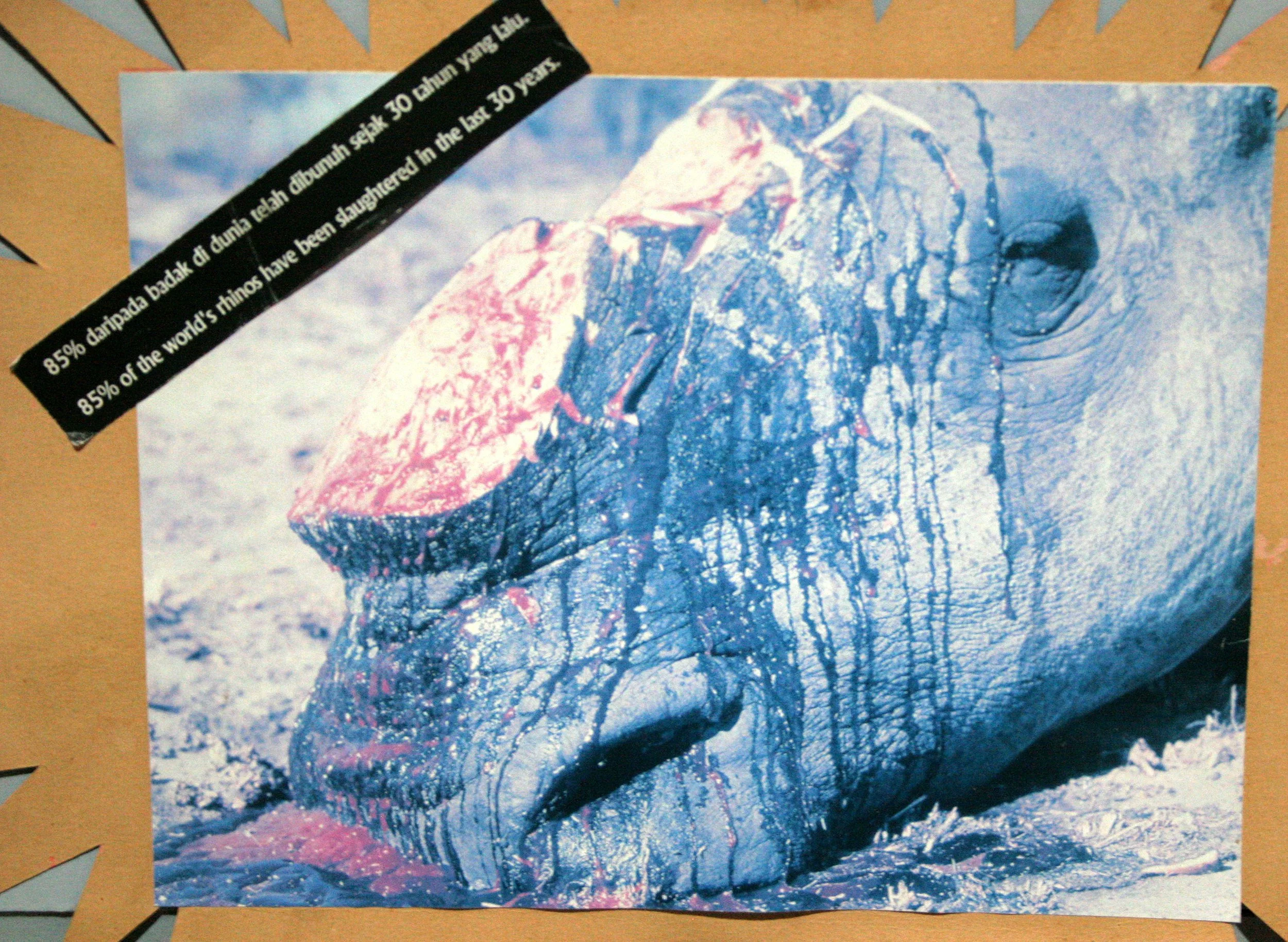 DANUM VALLEY BORNEO - RHINO SOS.JPG