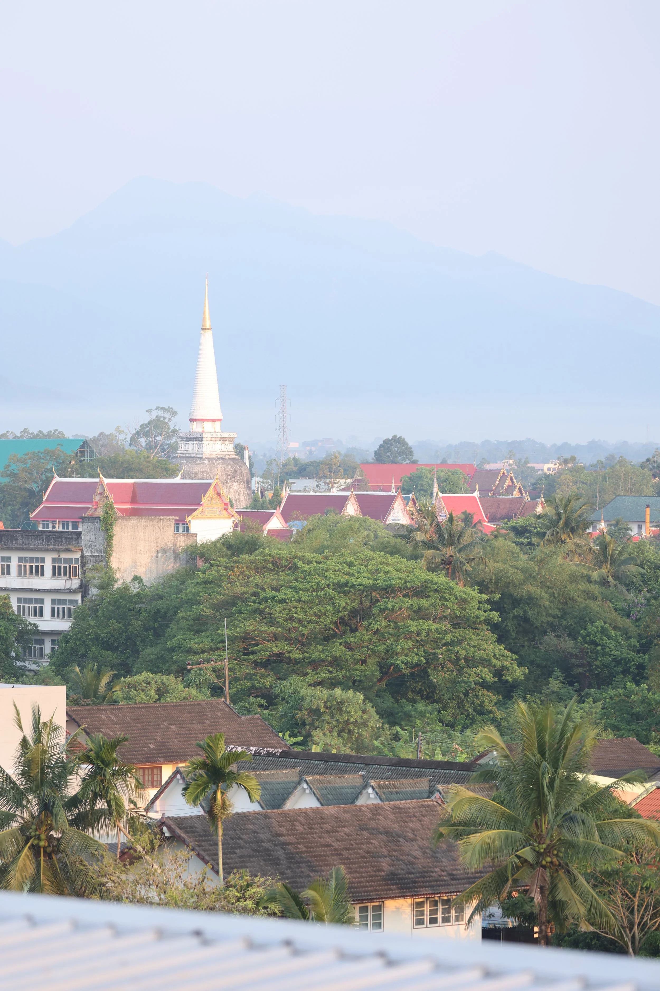 2022 Nakhonsithammarat Wat Mahatat and City Scenes with Cokie (7).JPG