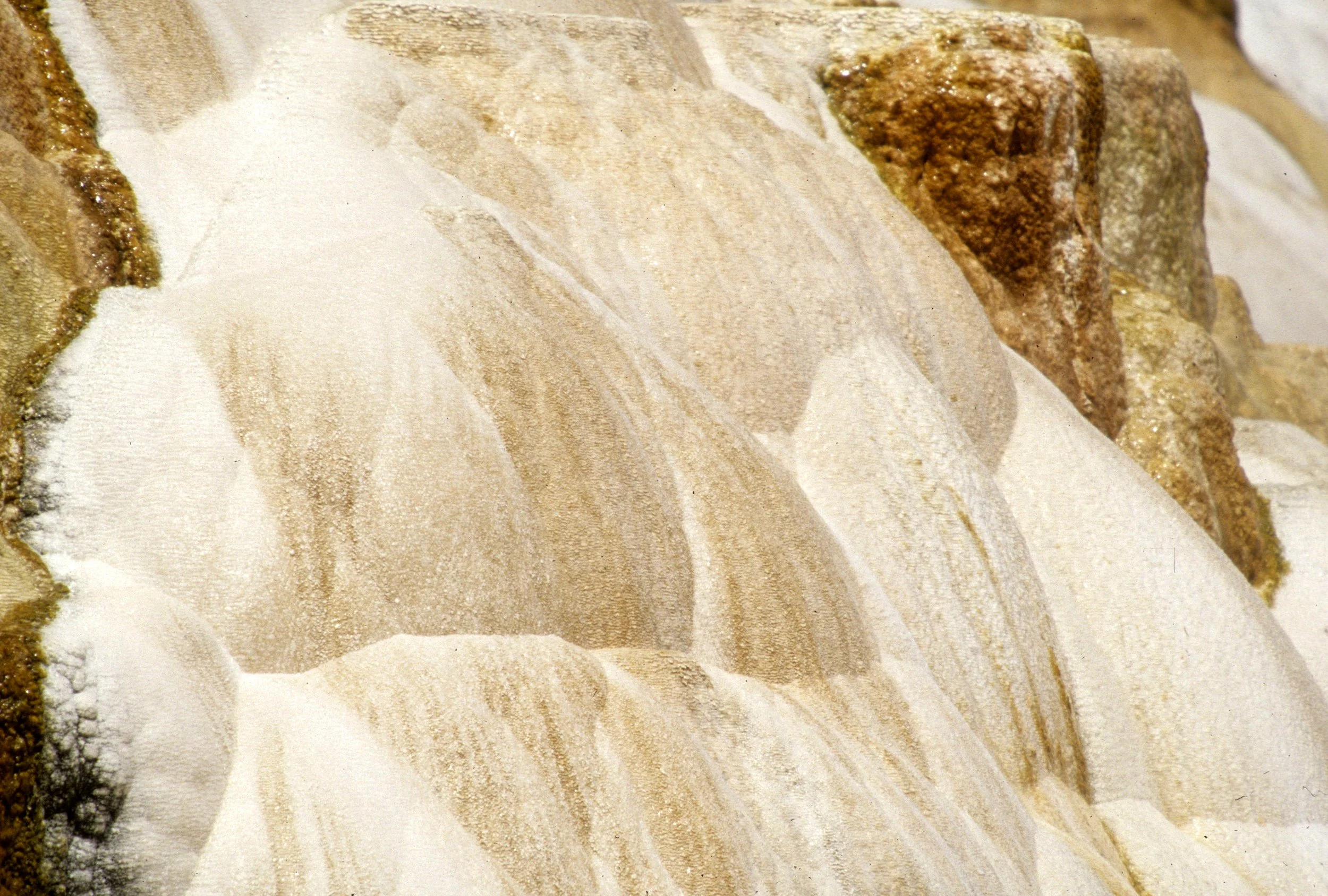 YELLOWSTONE - MAMMOTH HOTSPRINGS GGG.jpg