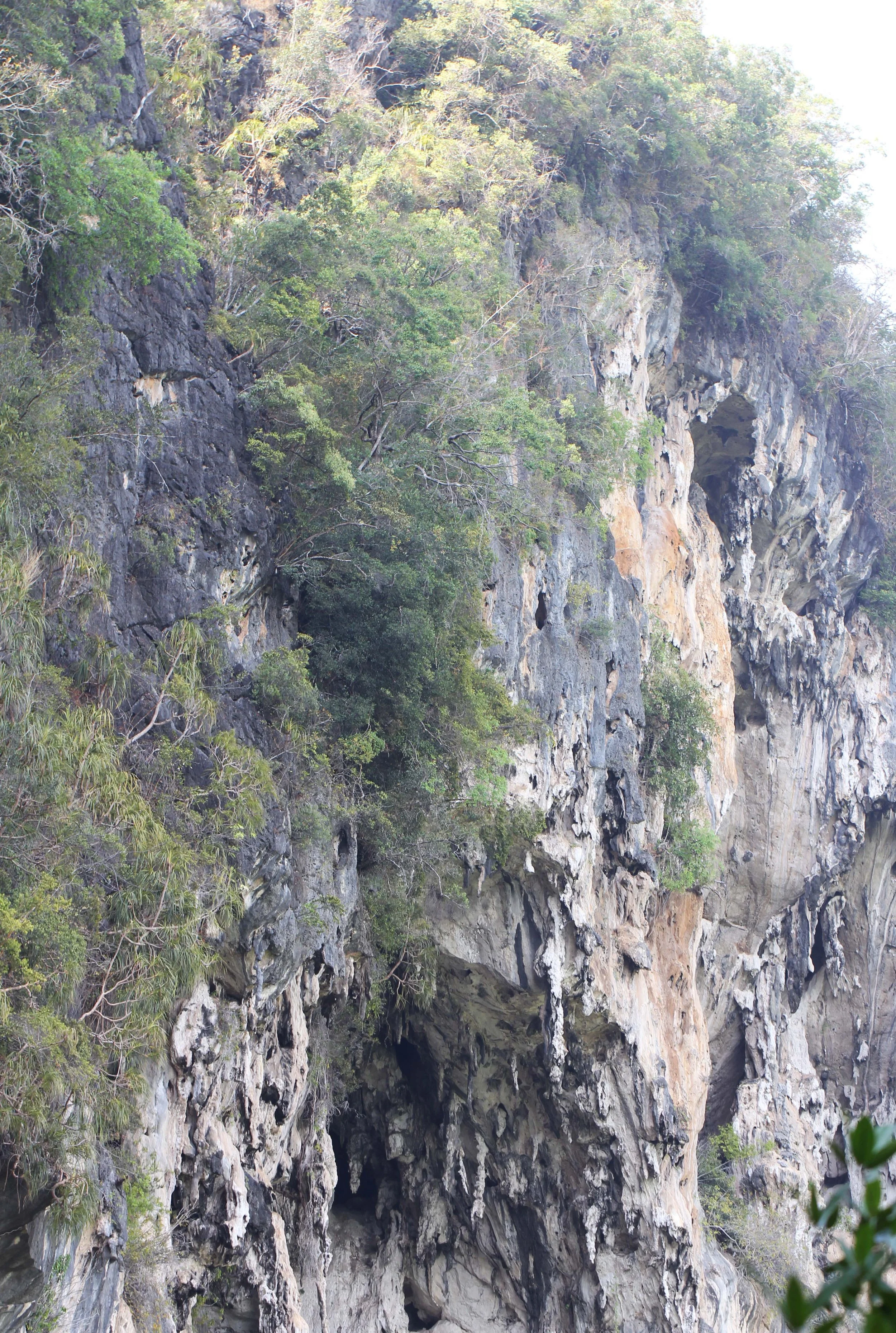 2014 ISB Trip to Khao Sok National Park Karos Island Ao Luek (29).JPG