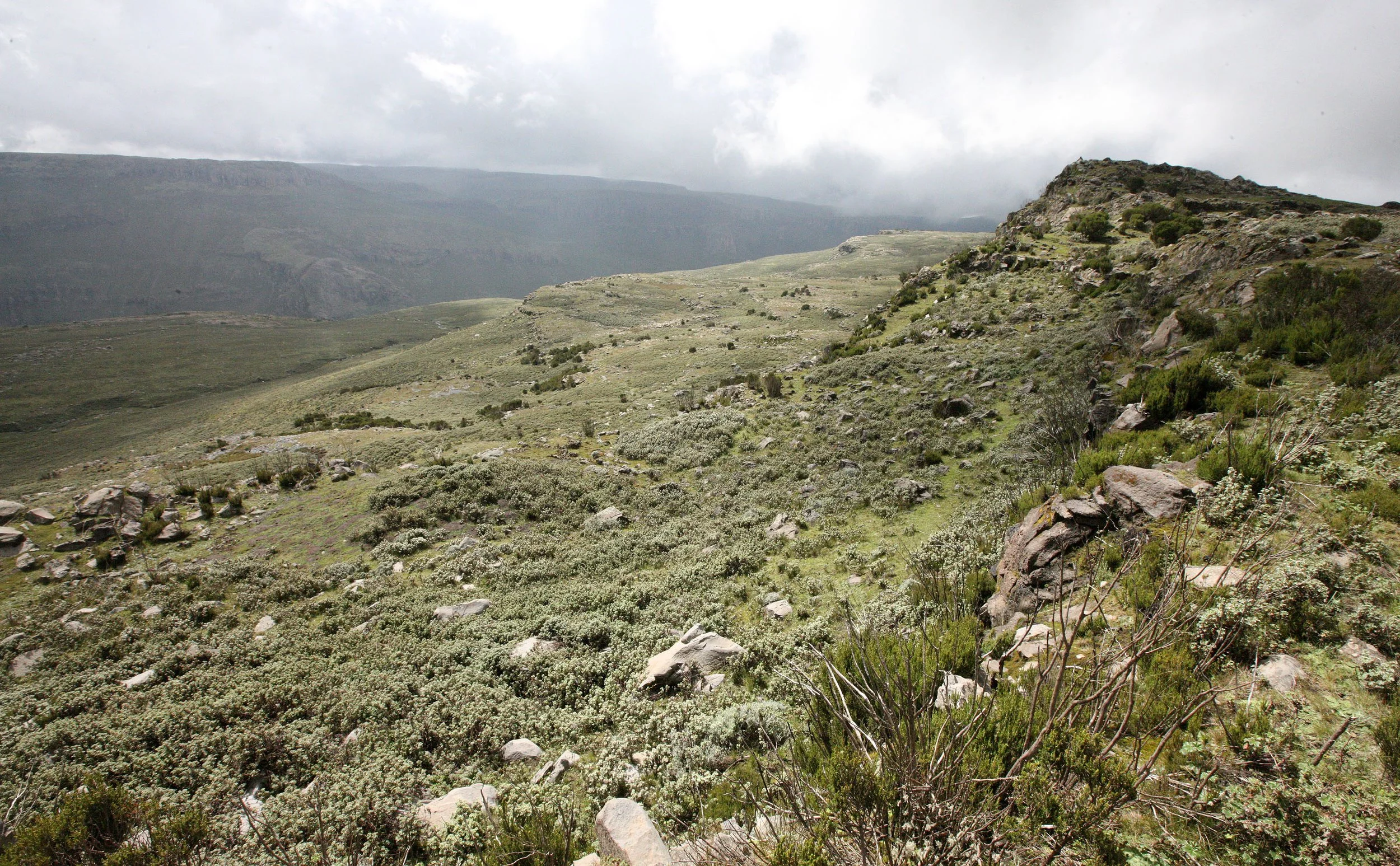 BALE MOUNTAINS NATIONAL PARK - SANETTI PLATEAU (34).JPG
