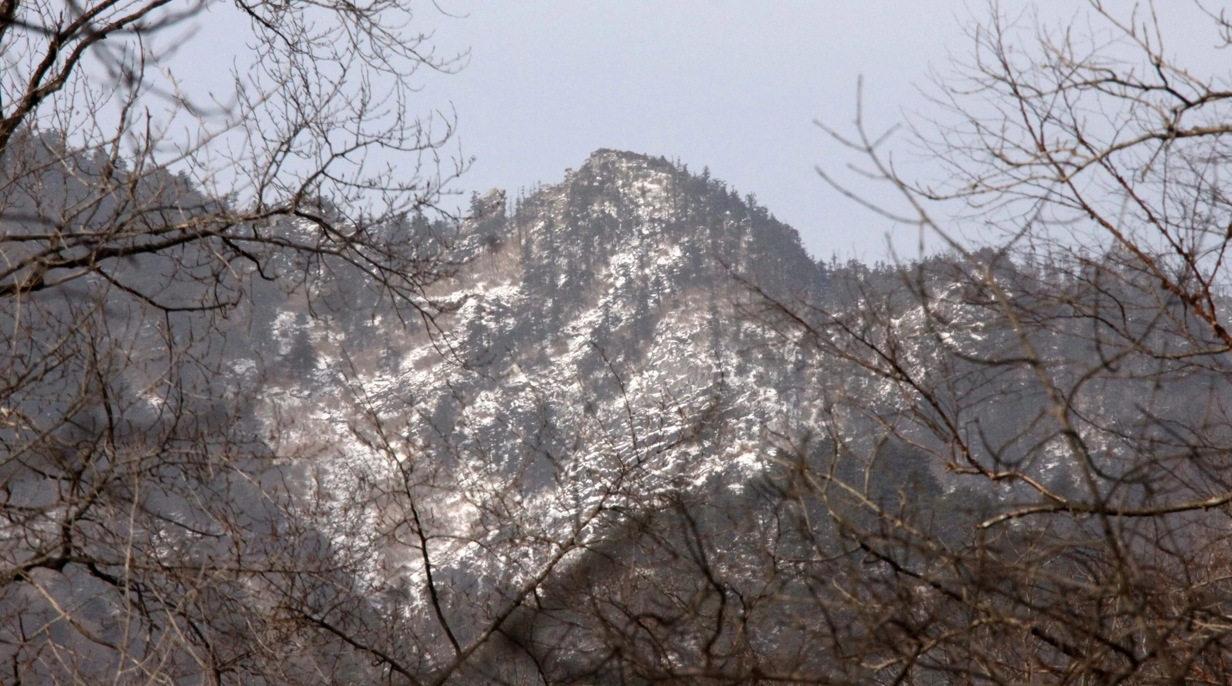 FOPING NATURE RESERVE - SHAANXI PROVINCE CHINA (210).JPG