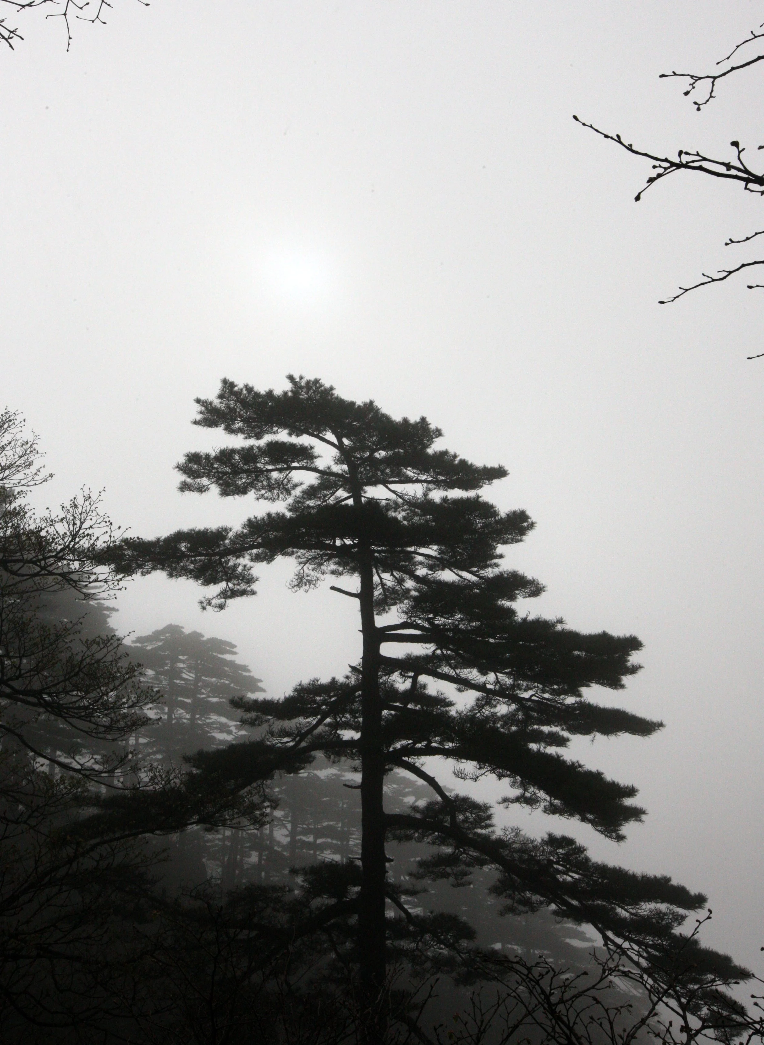 HUANGSHAN NATIONAL PARK ANHUI PROVINCE CHINA (219).JPG