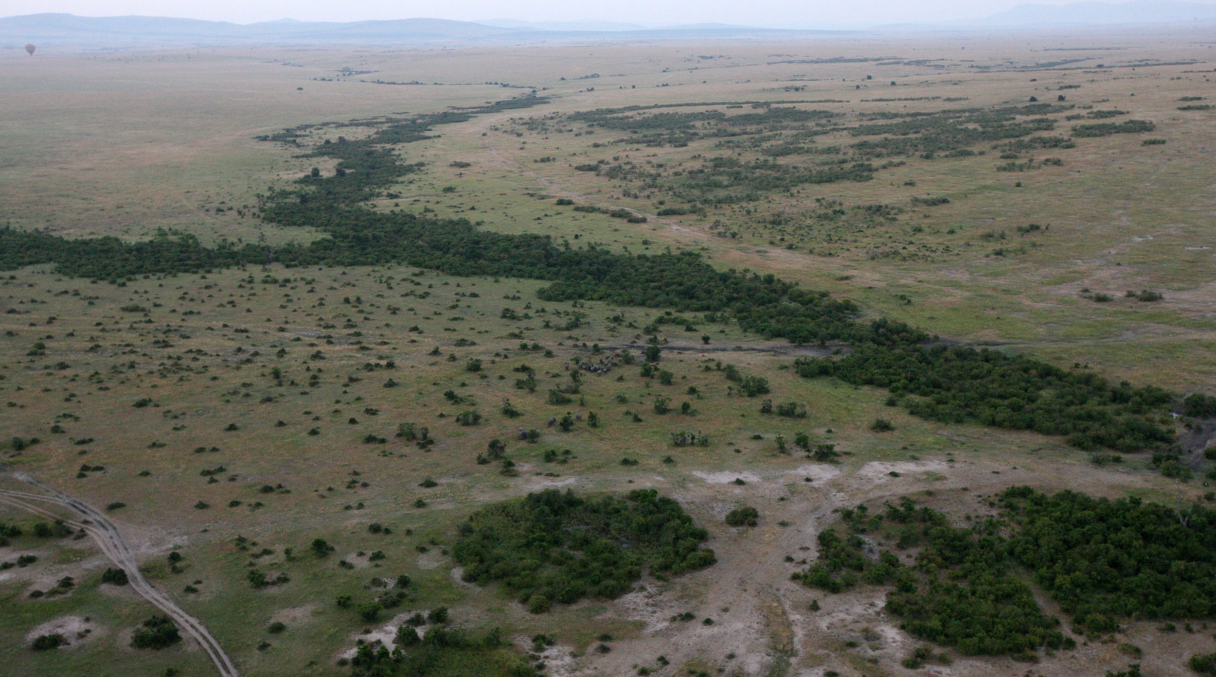 MASAI MARA NATIONAL PARK KENYA (58).JPG