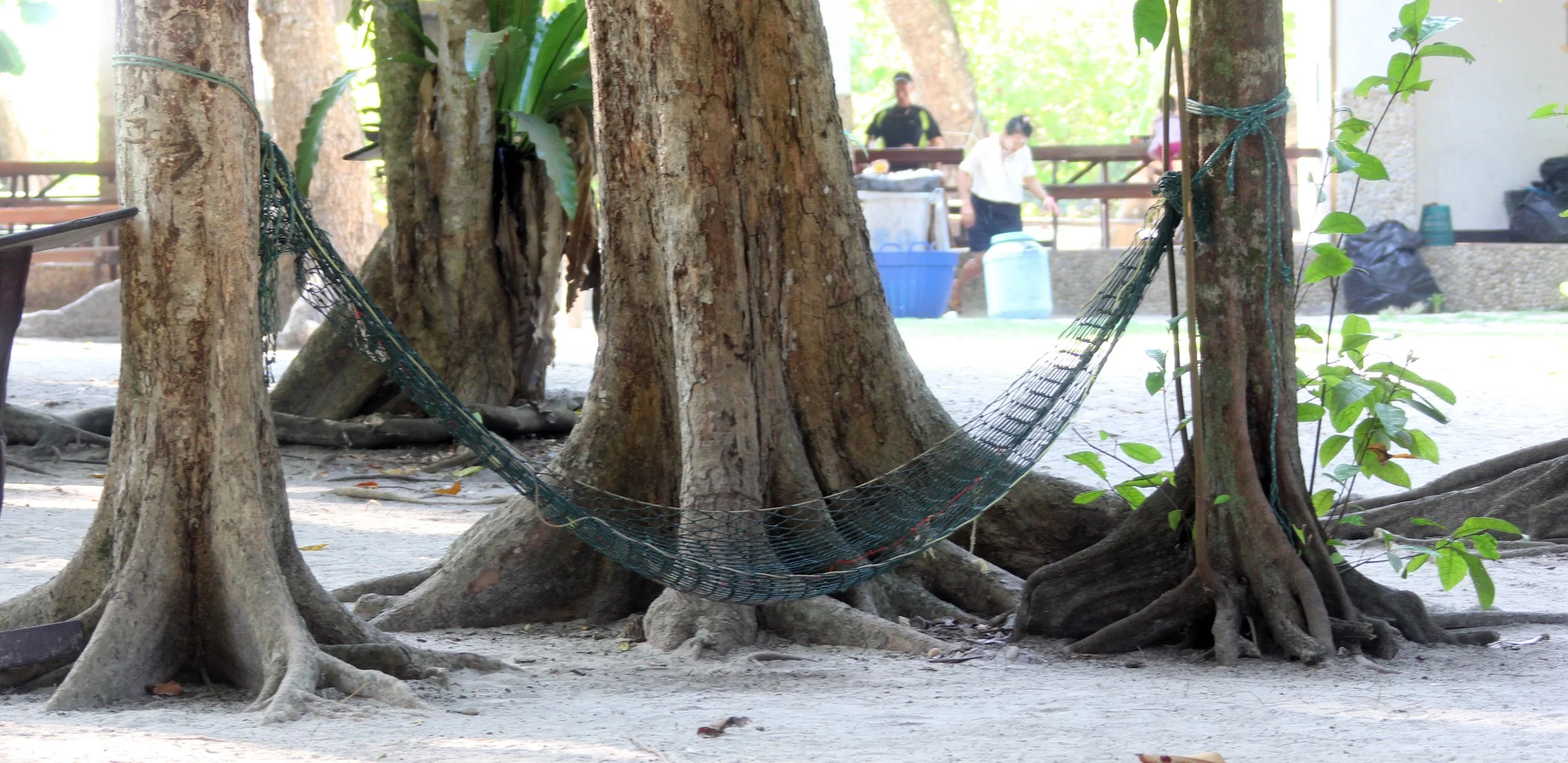2014 Similans Trip with Family on The Junk (175).JPG