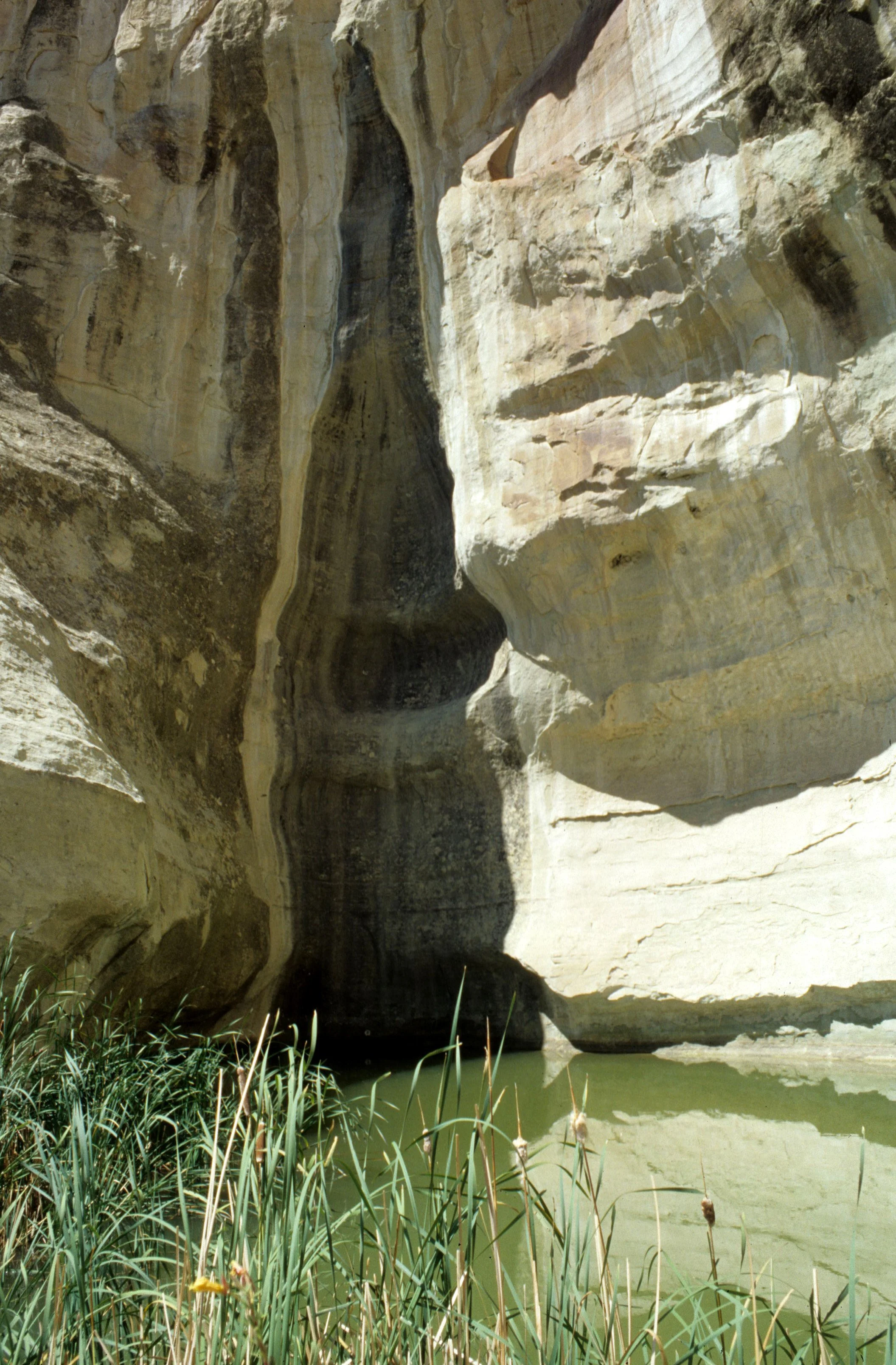 ANASAZILAND - EL MORRO NATIONAL MONUMENT - NEW MEXICO.jpg