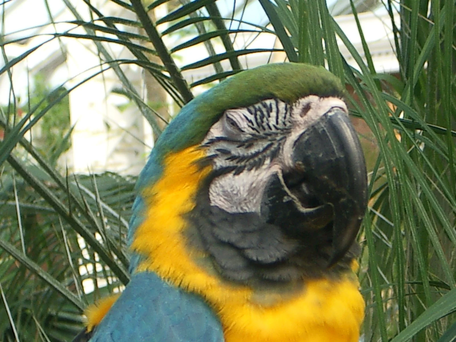 2003-7-31 FAMILY REUNION IN WASHINGTON AND CANADA (141).JPG