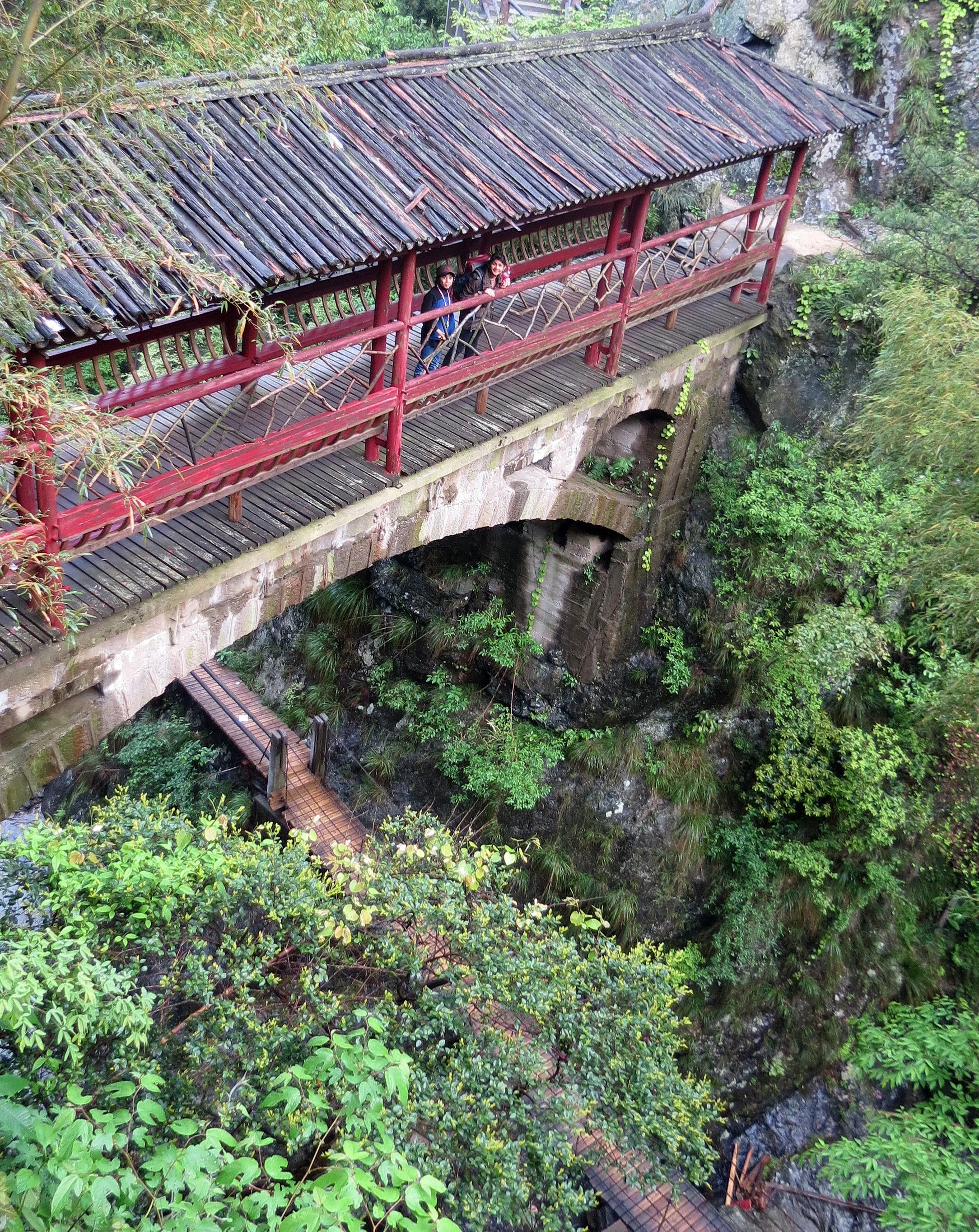 GUNIUJIANG NATURE RESERVE - ANHUI PROVINCE CHINA (40).JPG
