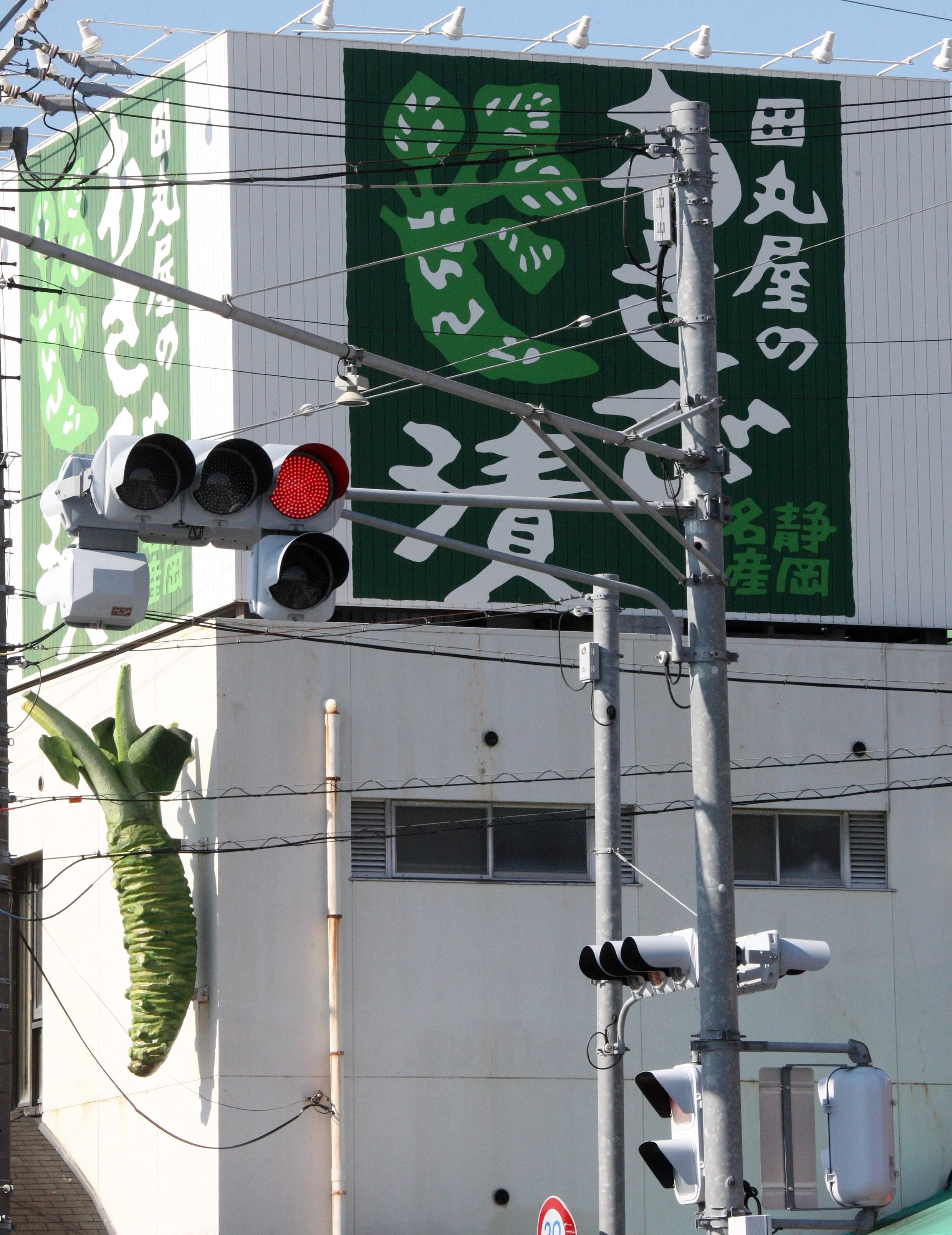 SURUGA CAPE AND BAY JAPAN (8).JPG