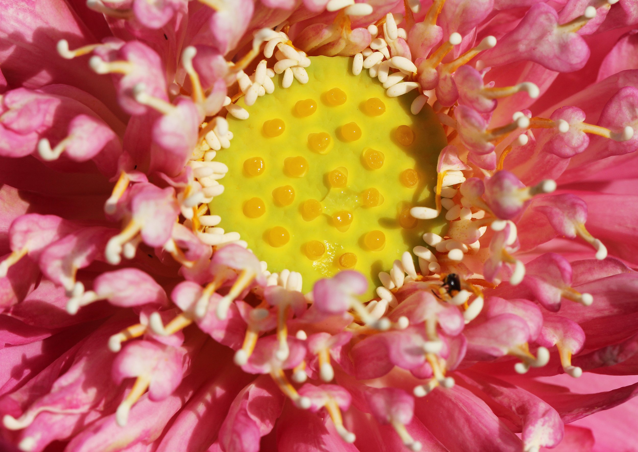 2015 Koh Lanta Summer Misc Images (951).JPG