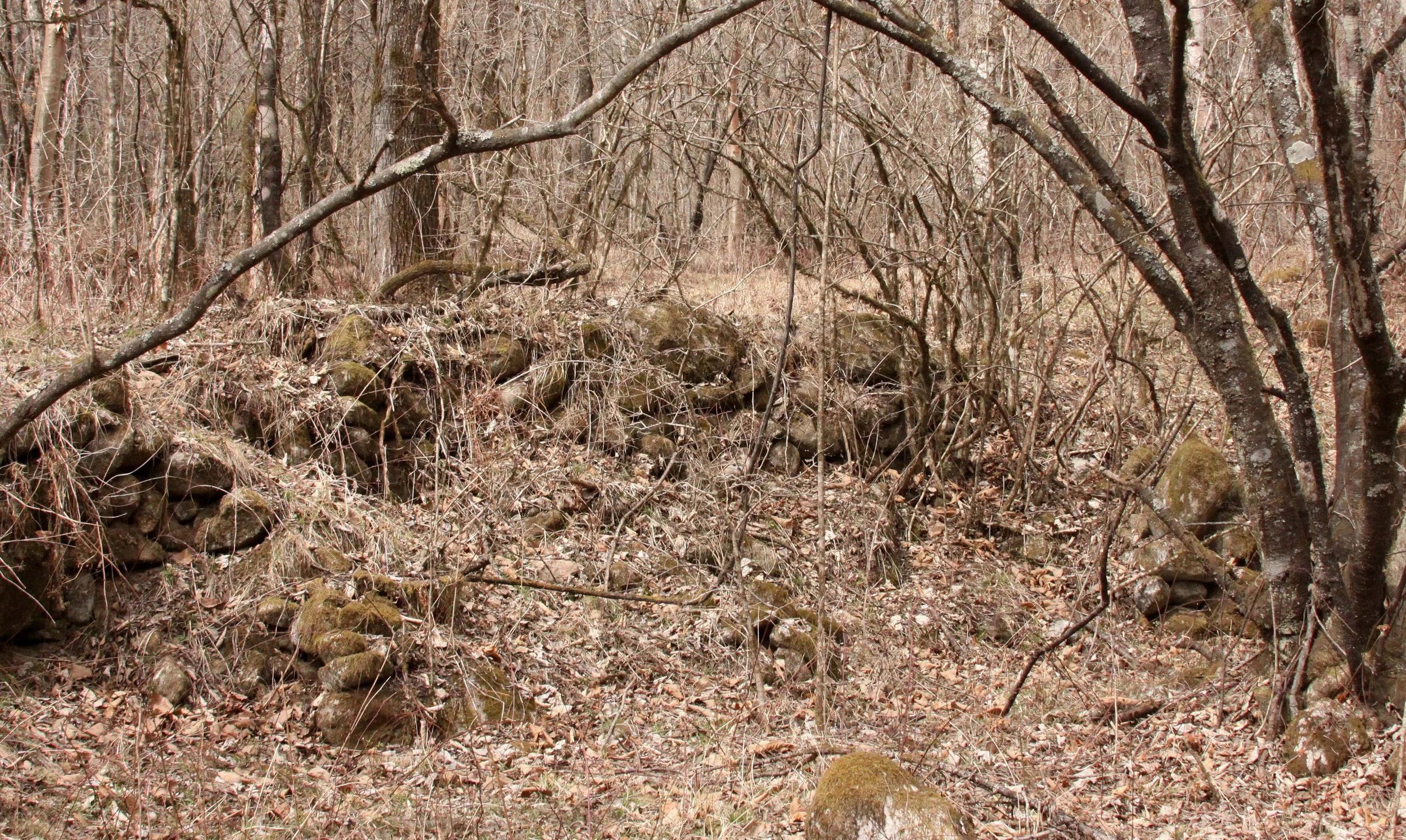 FOPING NATURE RESERVE - SHAANXI PROVINCE CHINA (208).JPG