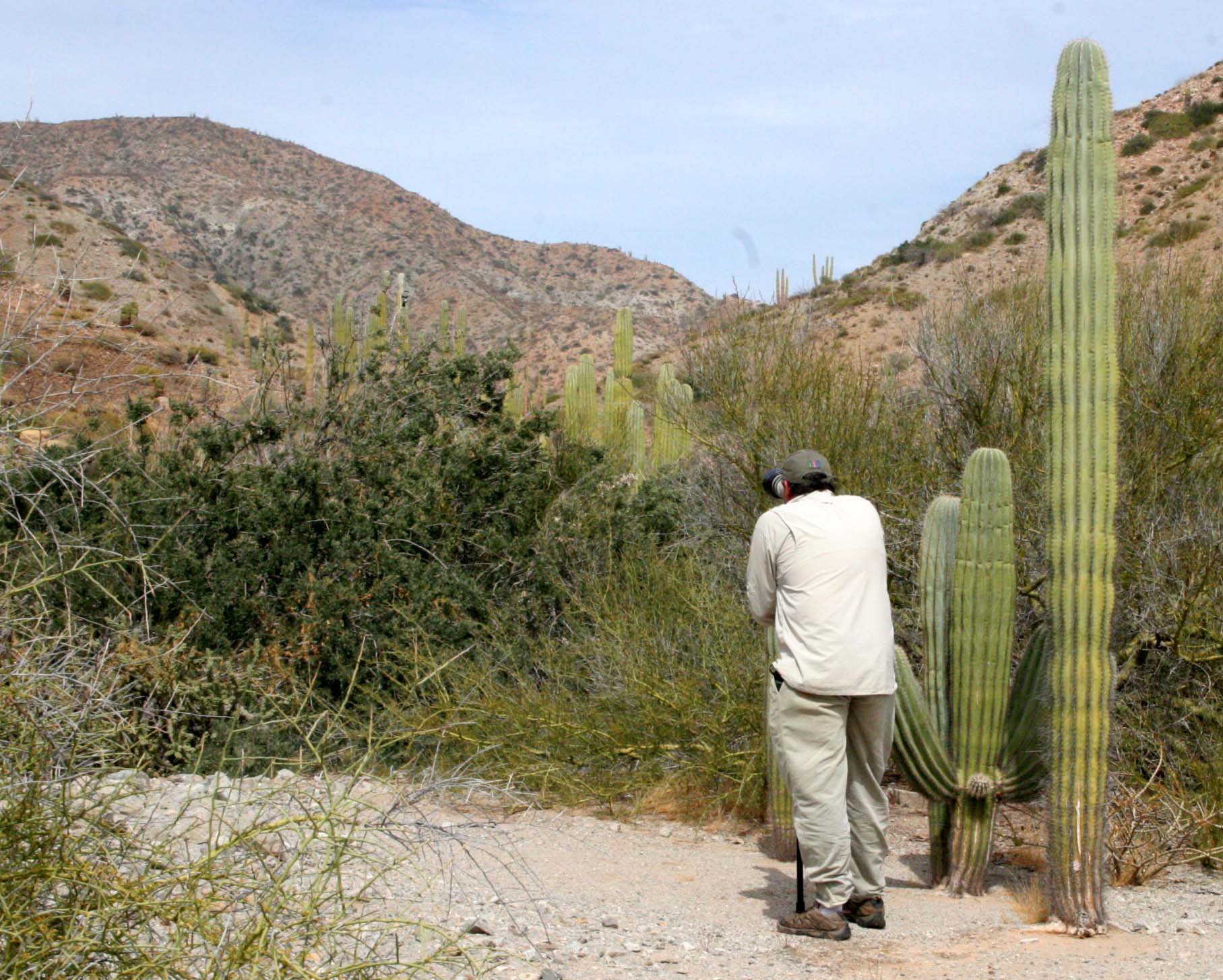 ISLA SANTA CATALINA BAJA MEXICO - WALKING THE DESERT.JPG