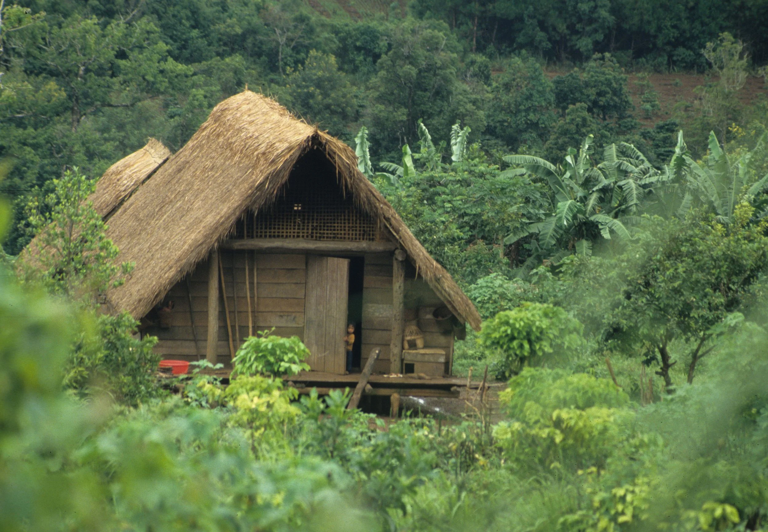 HILLTRIBE - ADAY TRIBE LONG HOUSE.jpg