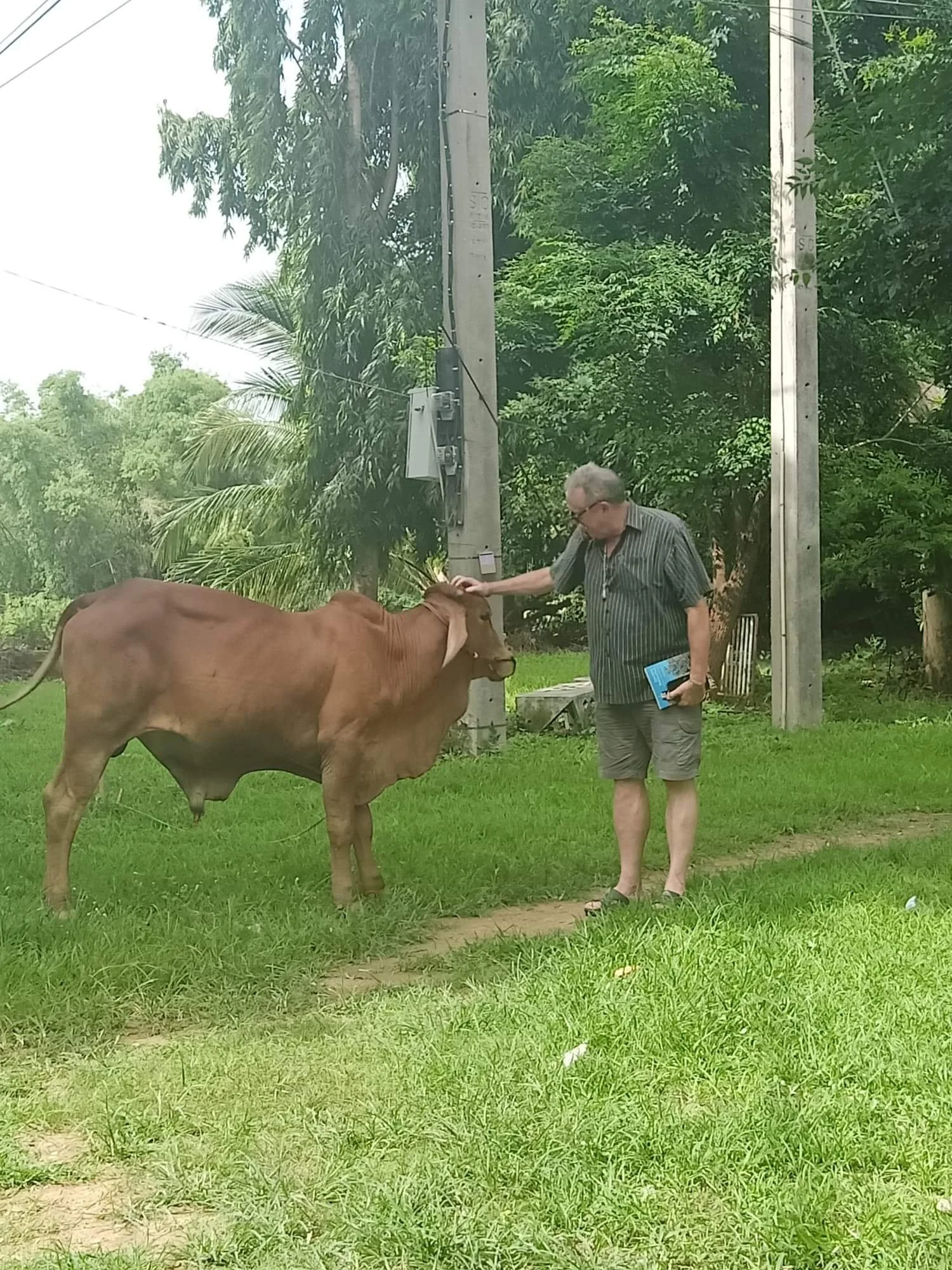 2019-2020 Misc Pictures from Other People - Family, Kanchanaburi, Lanta, Liana and more (146).jpeg