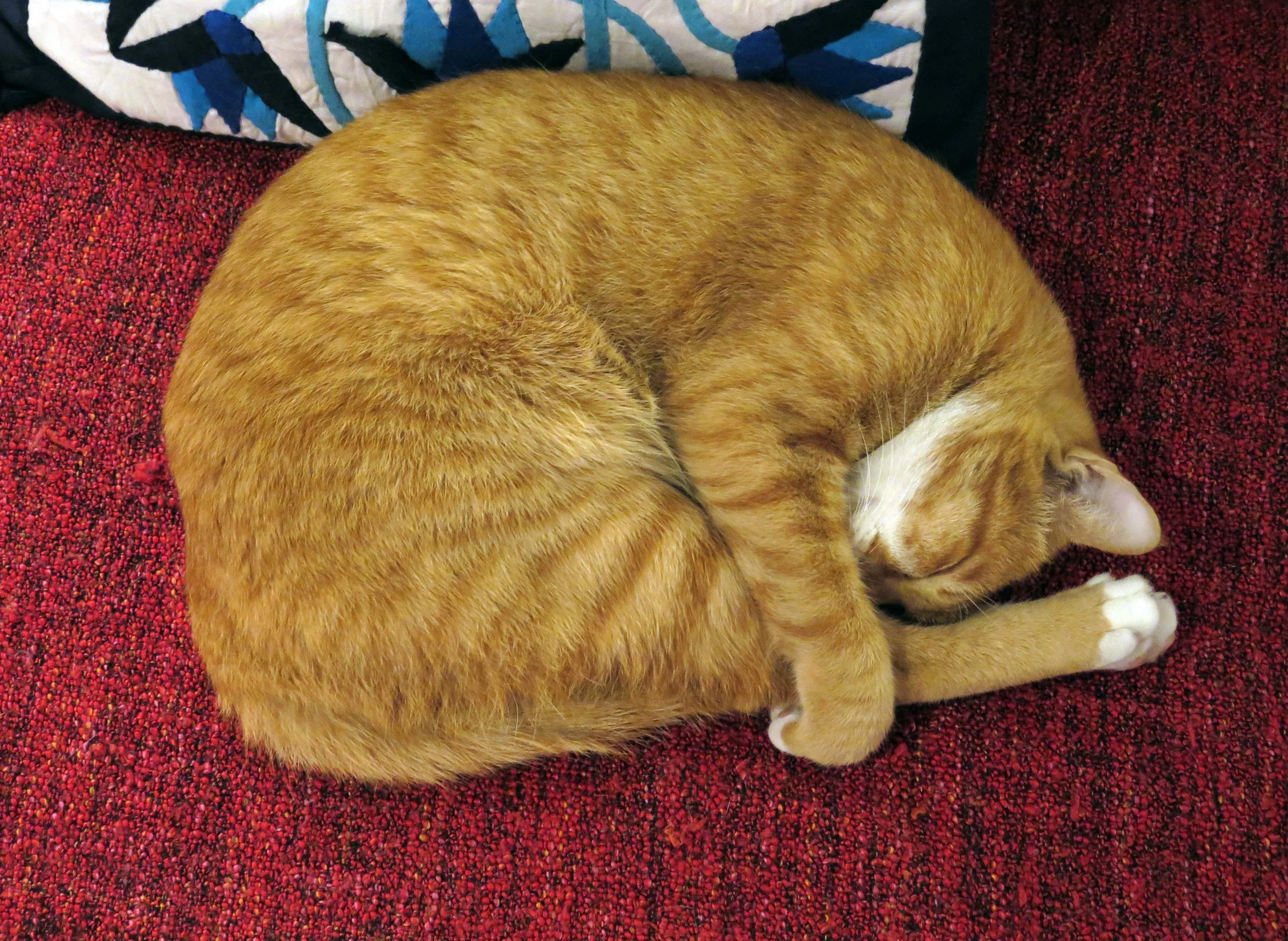 2013 - BANGKOK - NOVEMBER 2013 - MARCH 2014 (6).JPG