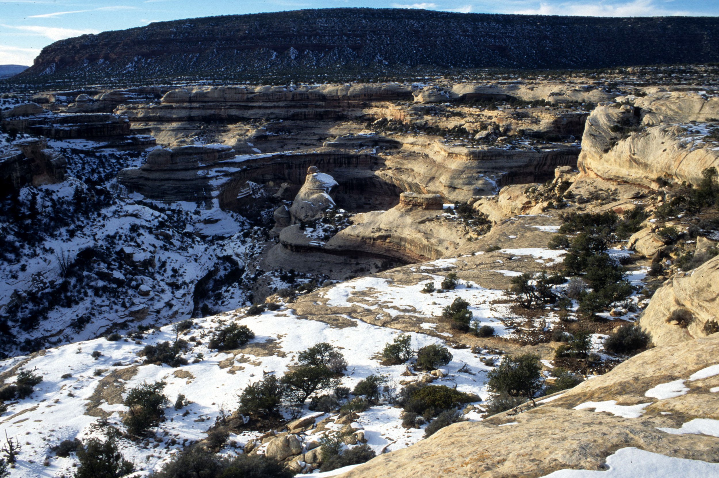 UTAH - NATURAL BRIDGES NM B.jpg