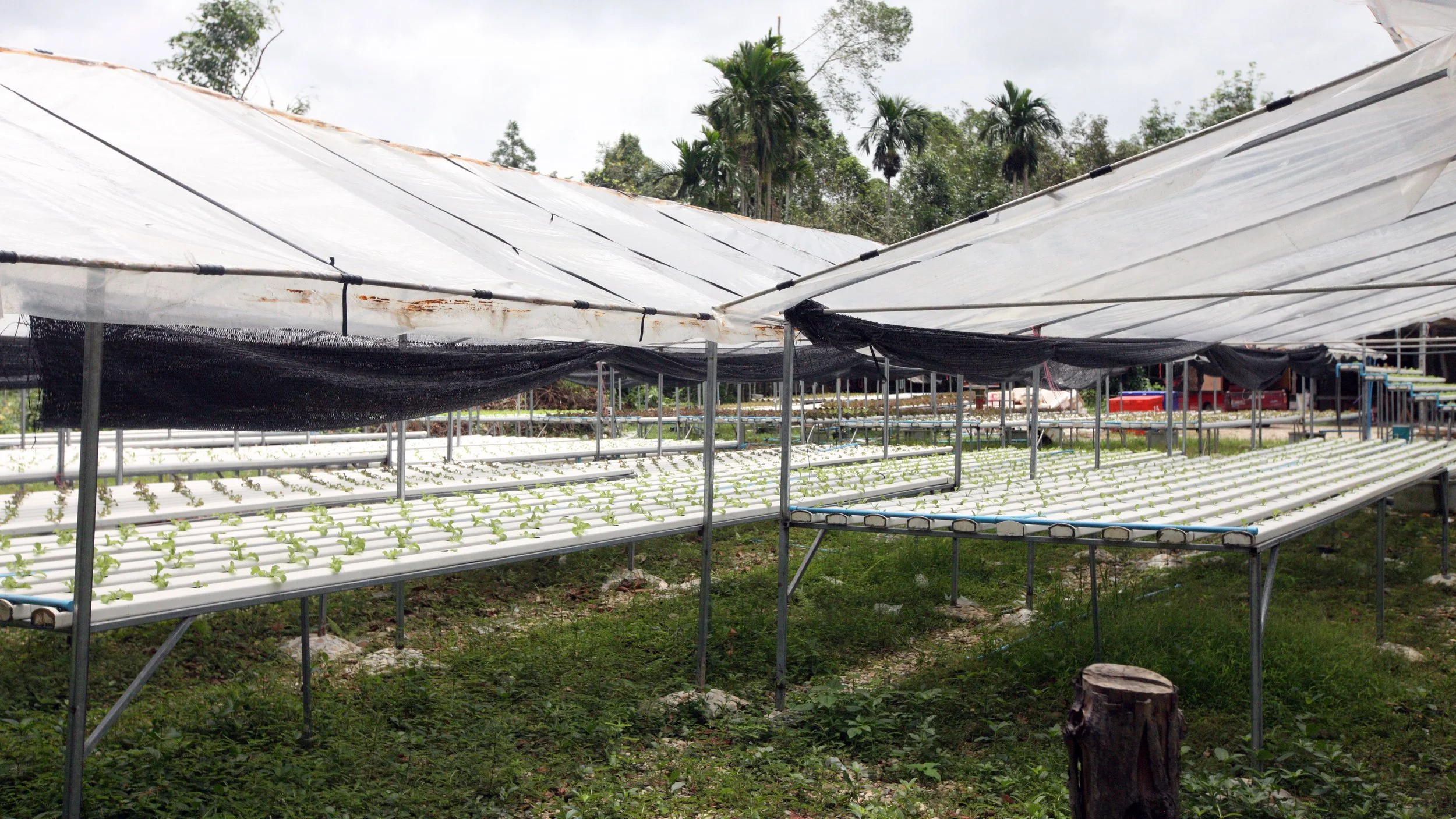 2014 Nakhonsithammarat with Family (17).JPG