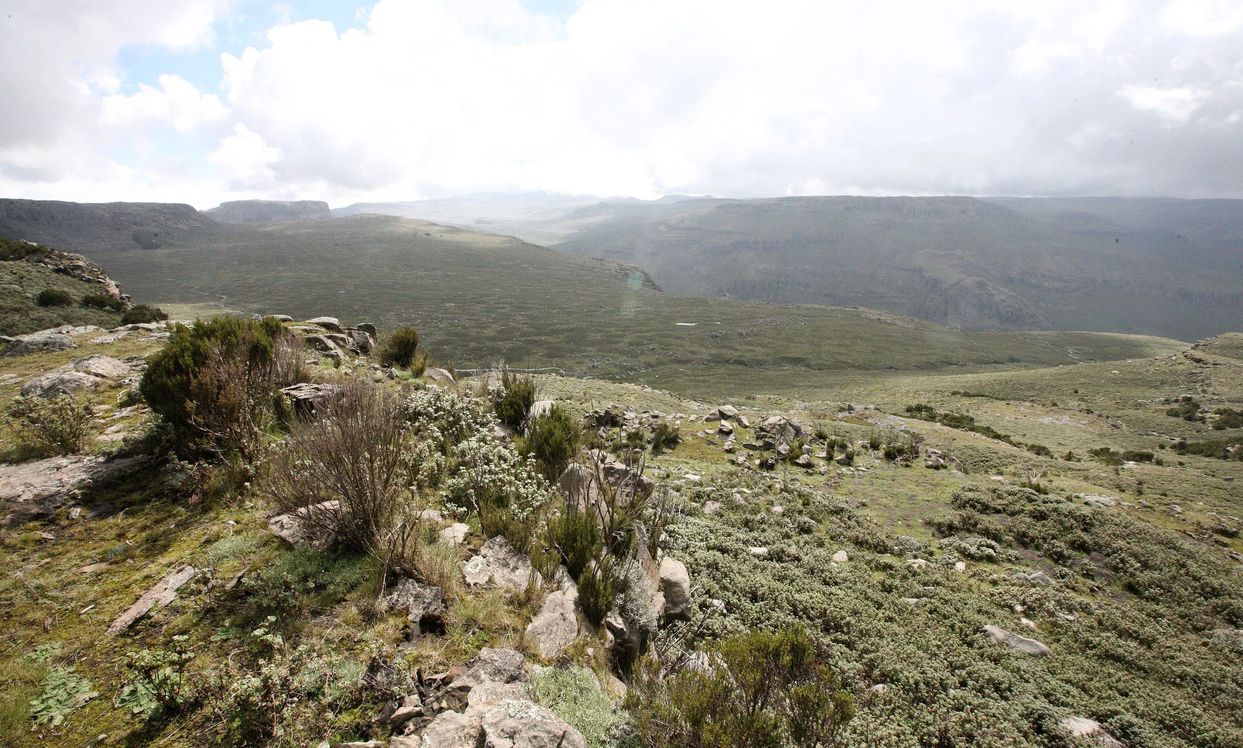 BALE MOUNTAINS NATIONAL PARK - SANETTI PLATEAU (32).JPG