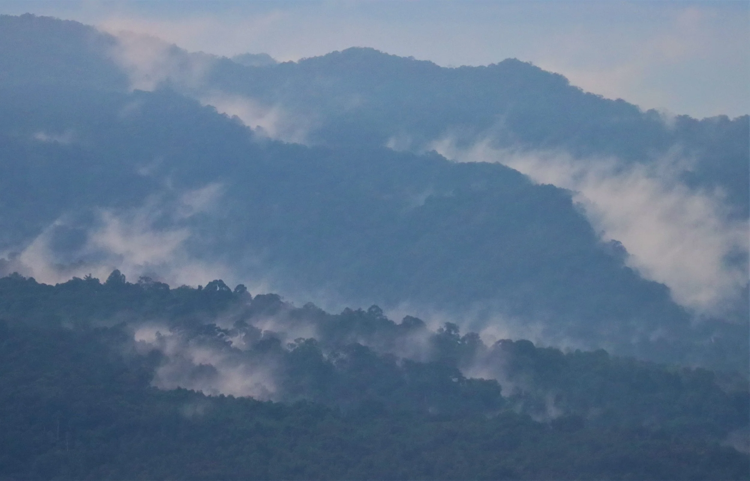 KHAO YAI NP SEP 18 2021 (179).jpg