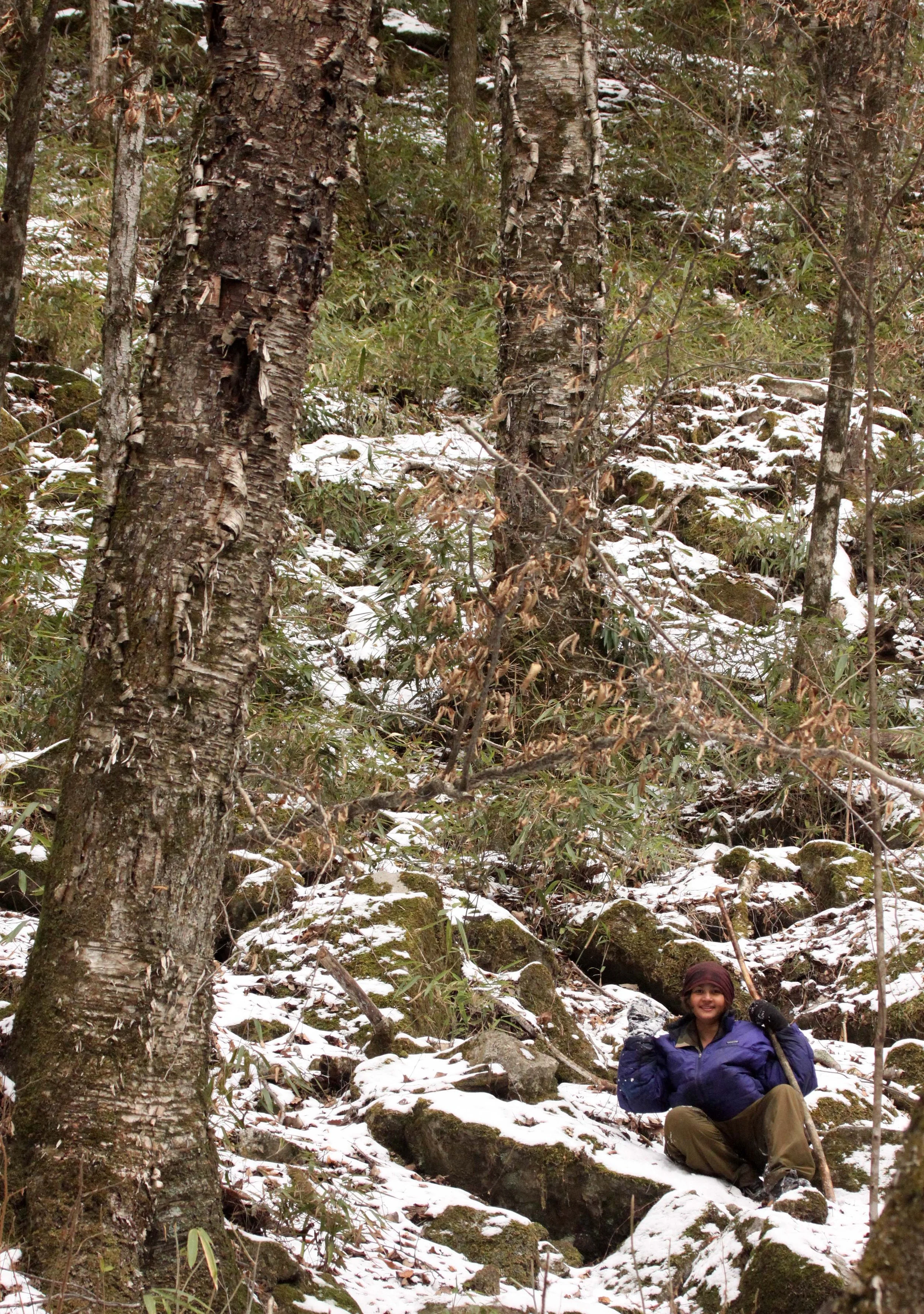 FOPING NATURE RESERVE - SHAANXI PROVINCE CHINA (147).JPG