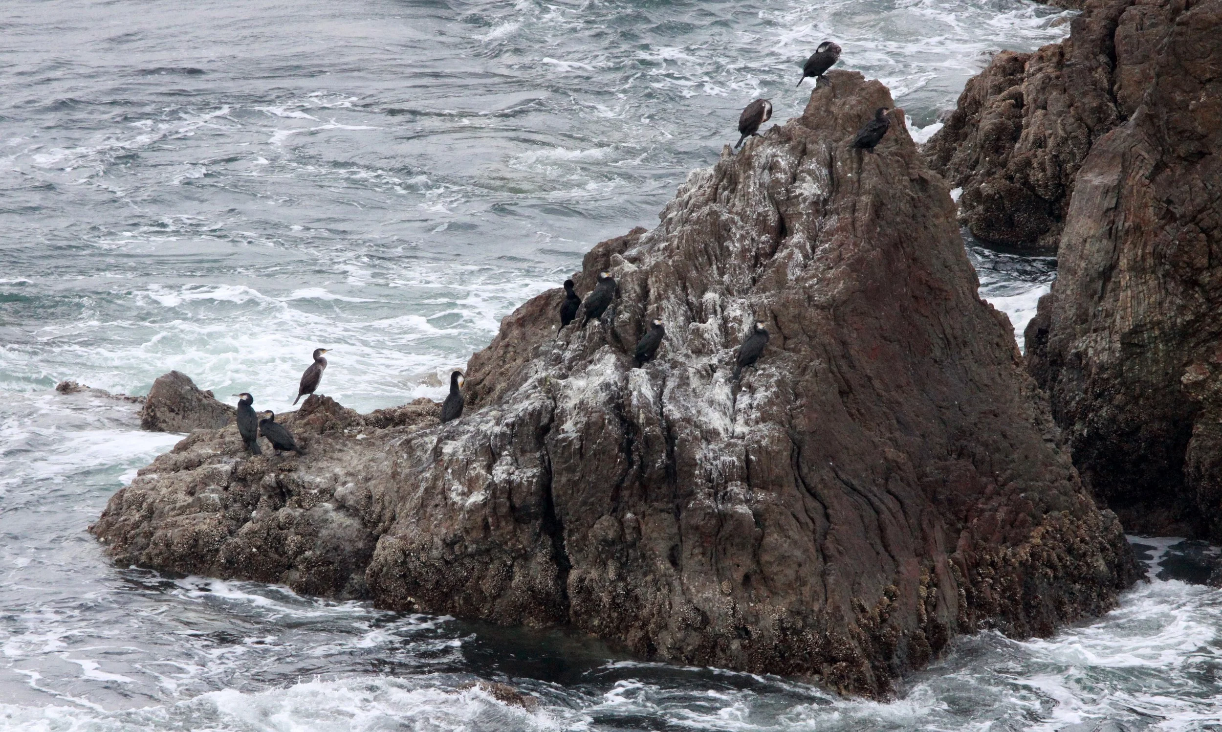 Cape Irago